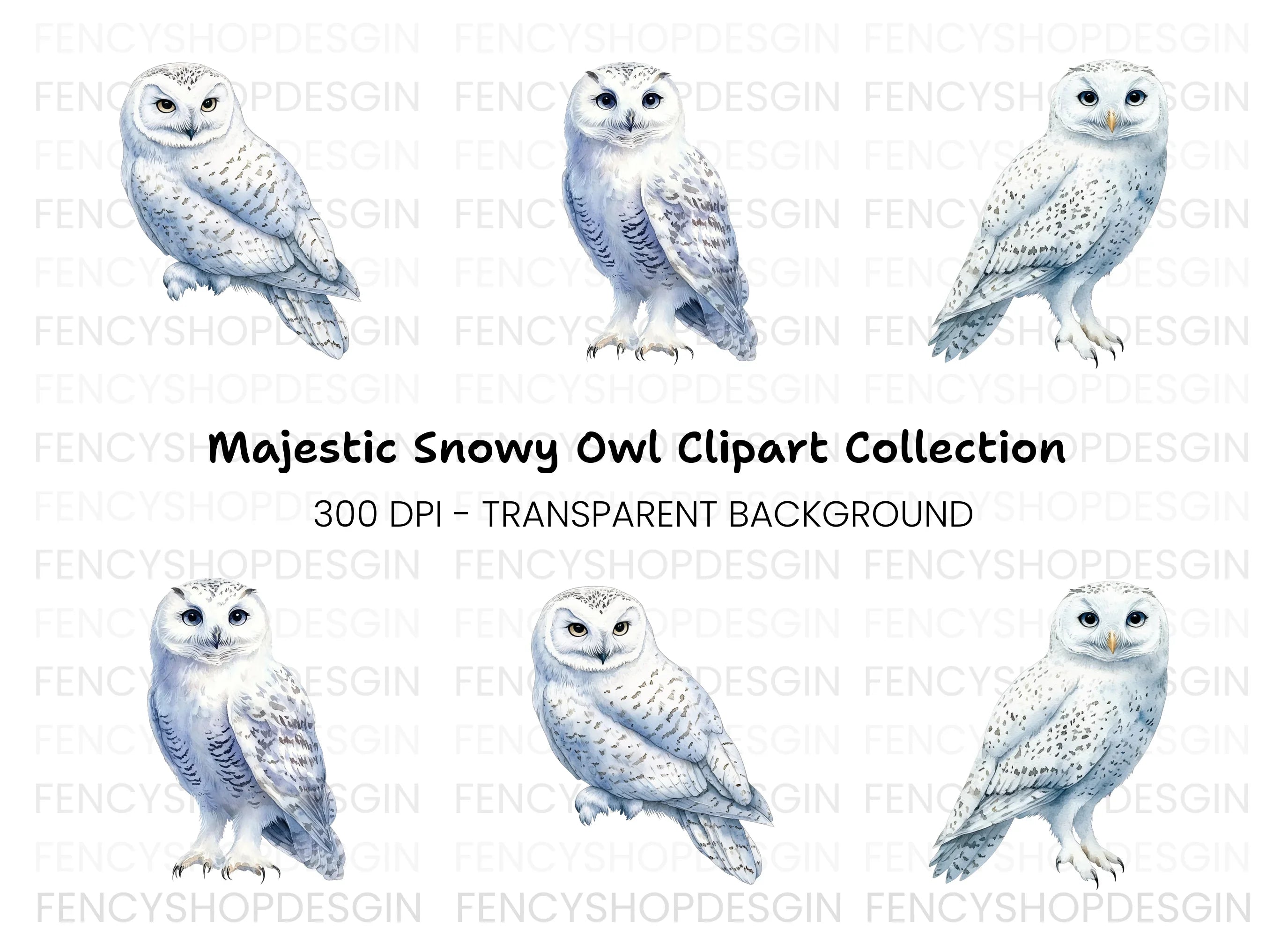 Snowy Owl Clipart Bundle