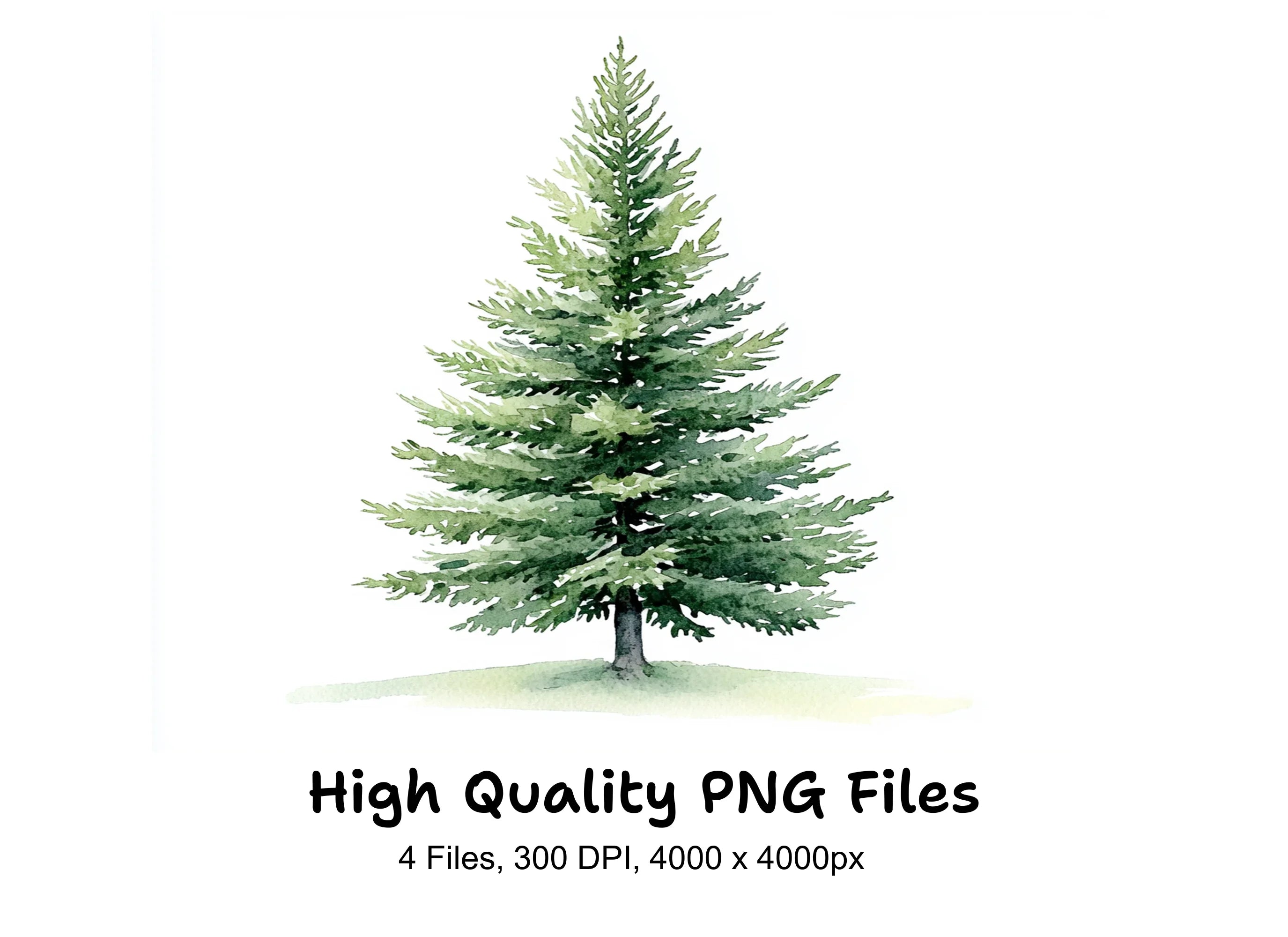 Pine Tree Clipart Bundle