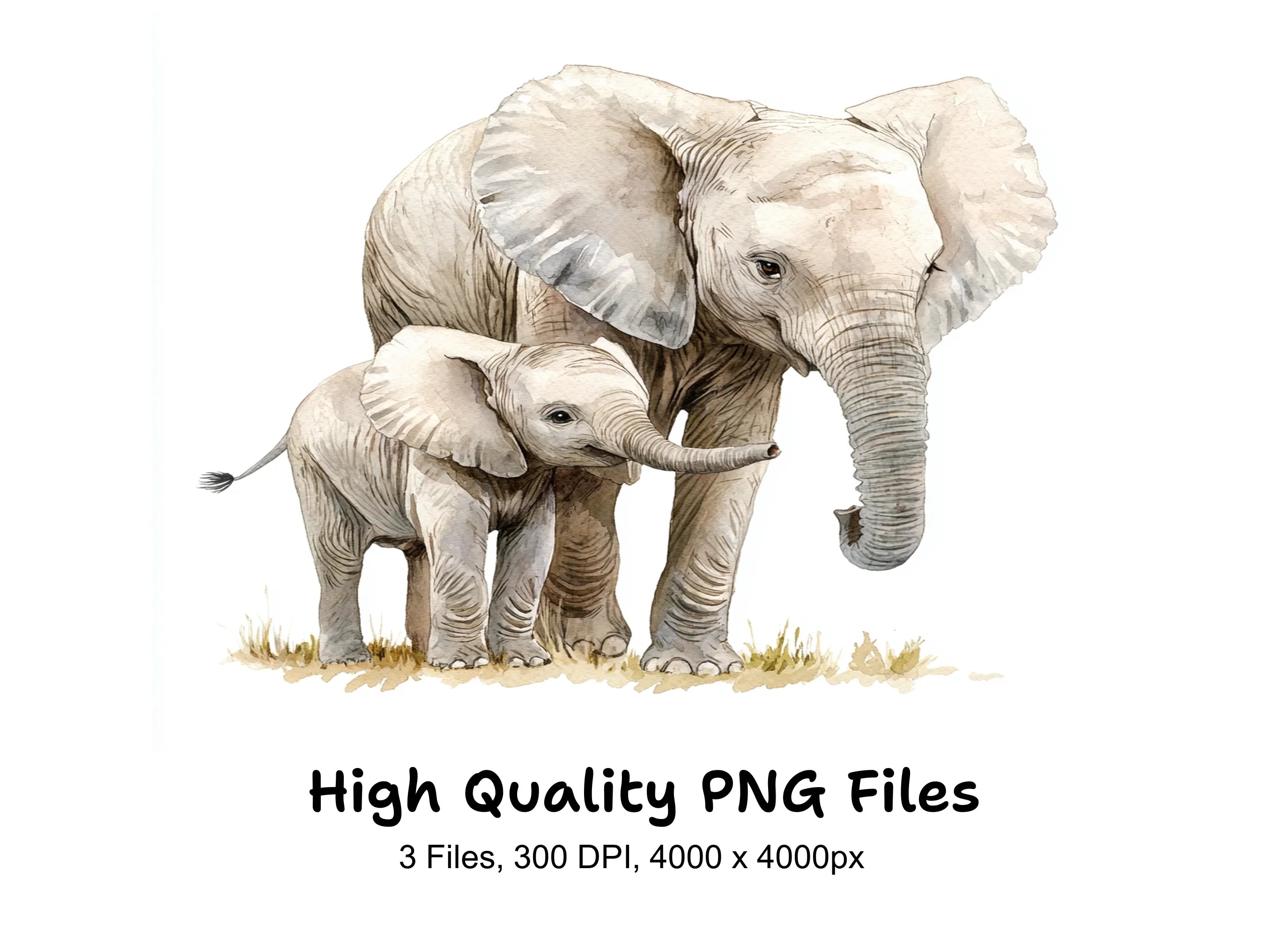 Cute Elephant Family Clipart Bundle