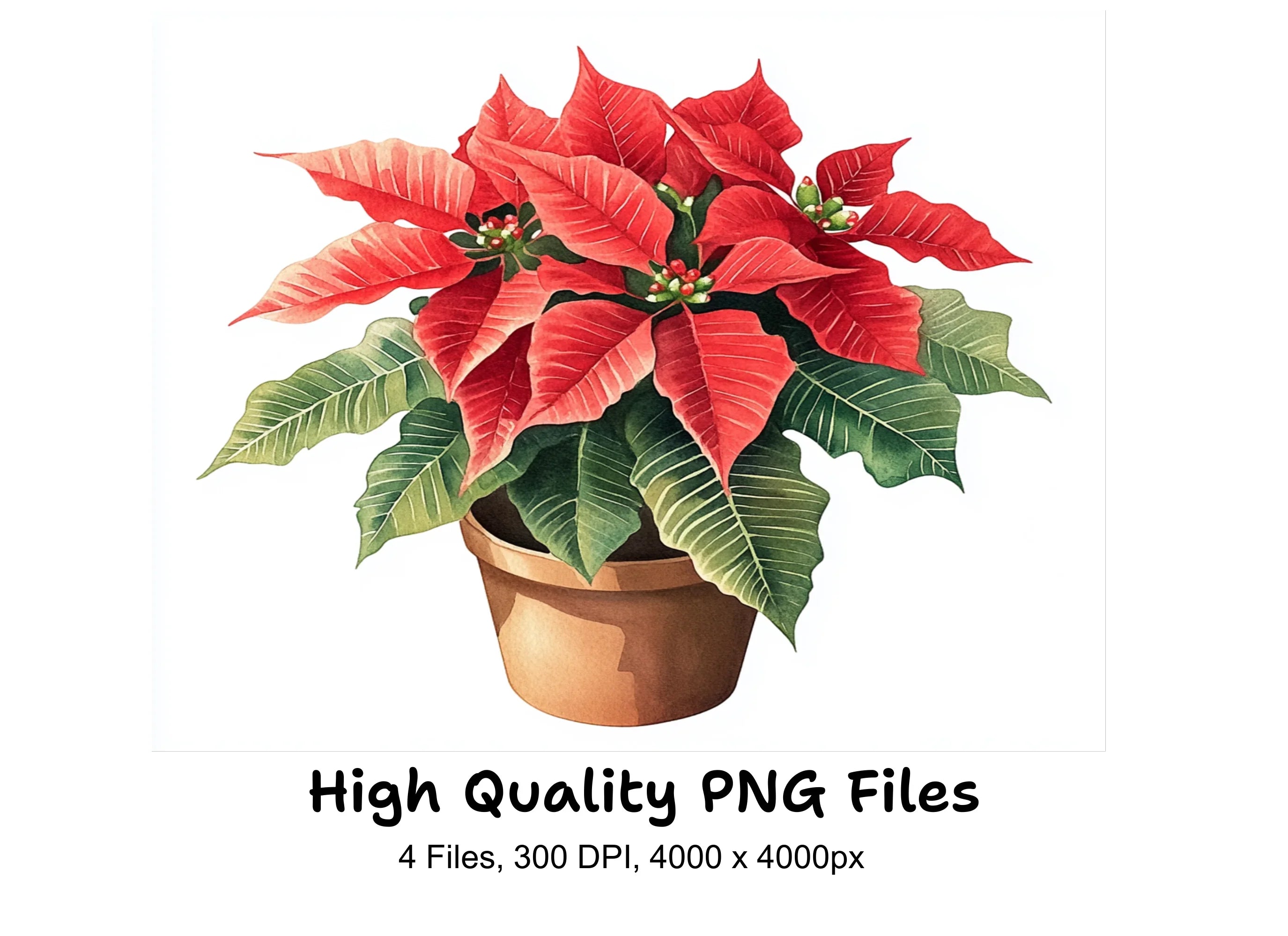 Potted Poinsettia Christmas Clipart Bundle