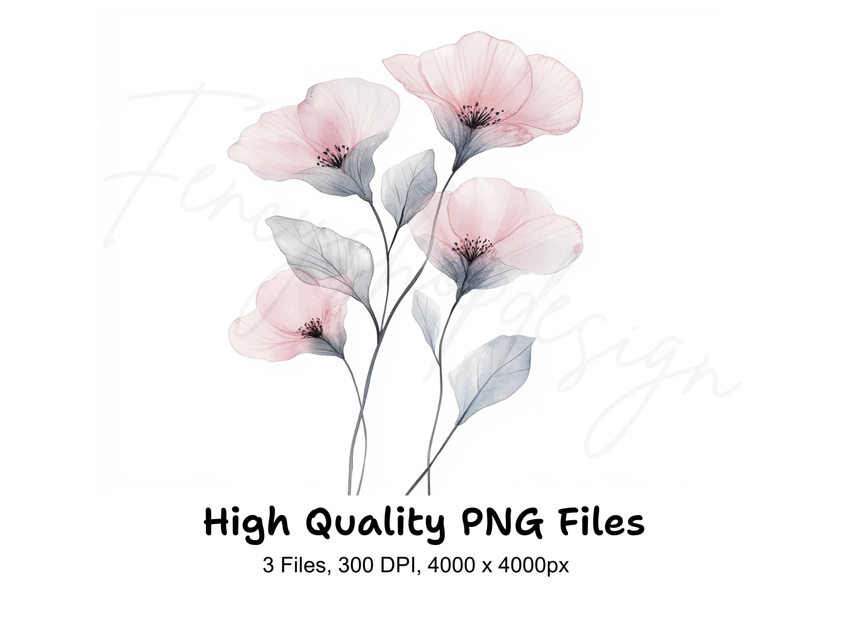 Elegant Translucent Floral Clipart Bundle