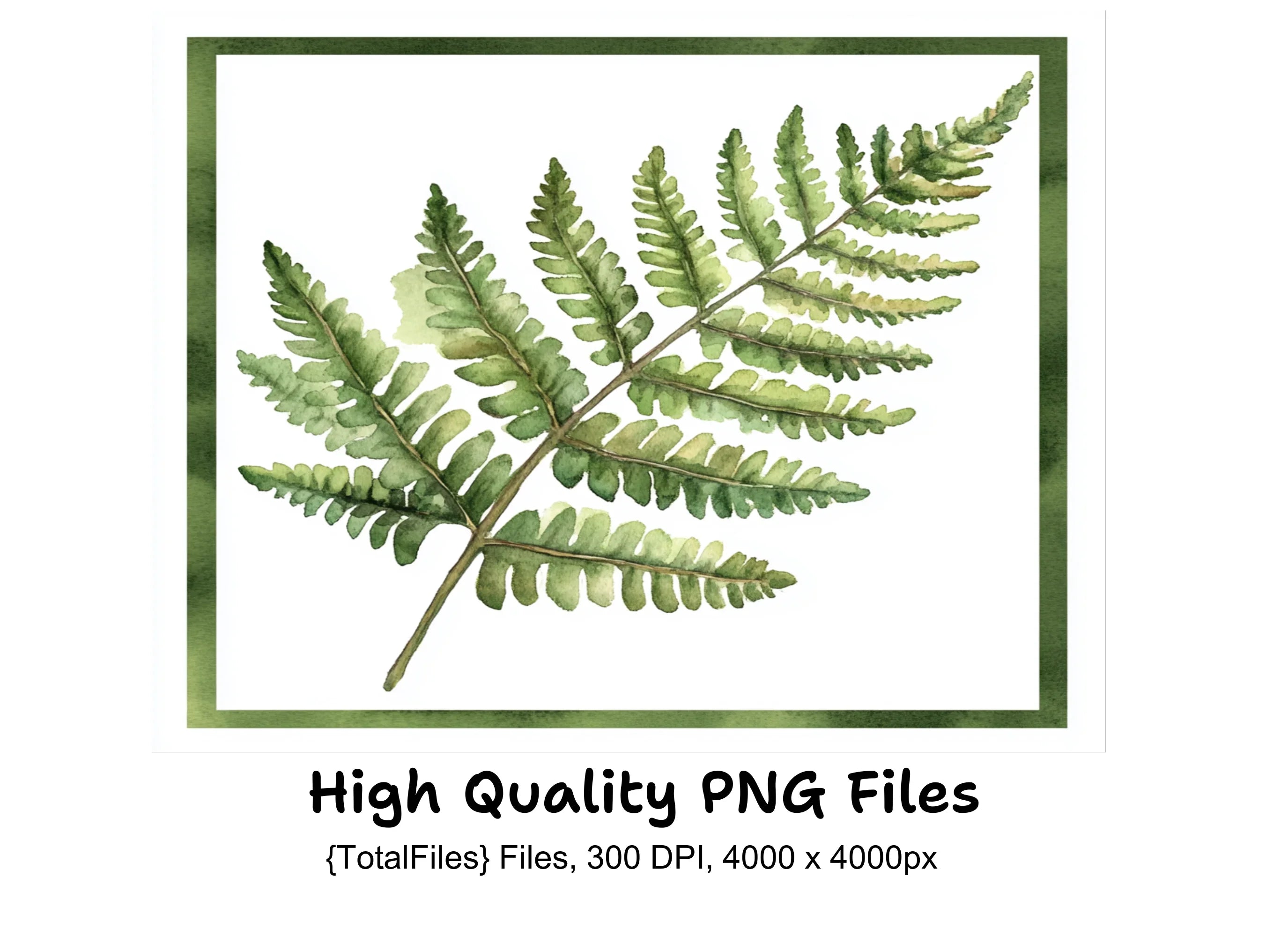 Fern Clipart Bundle