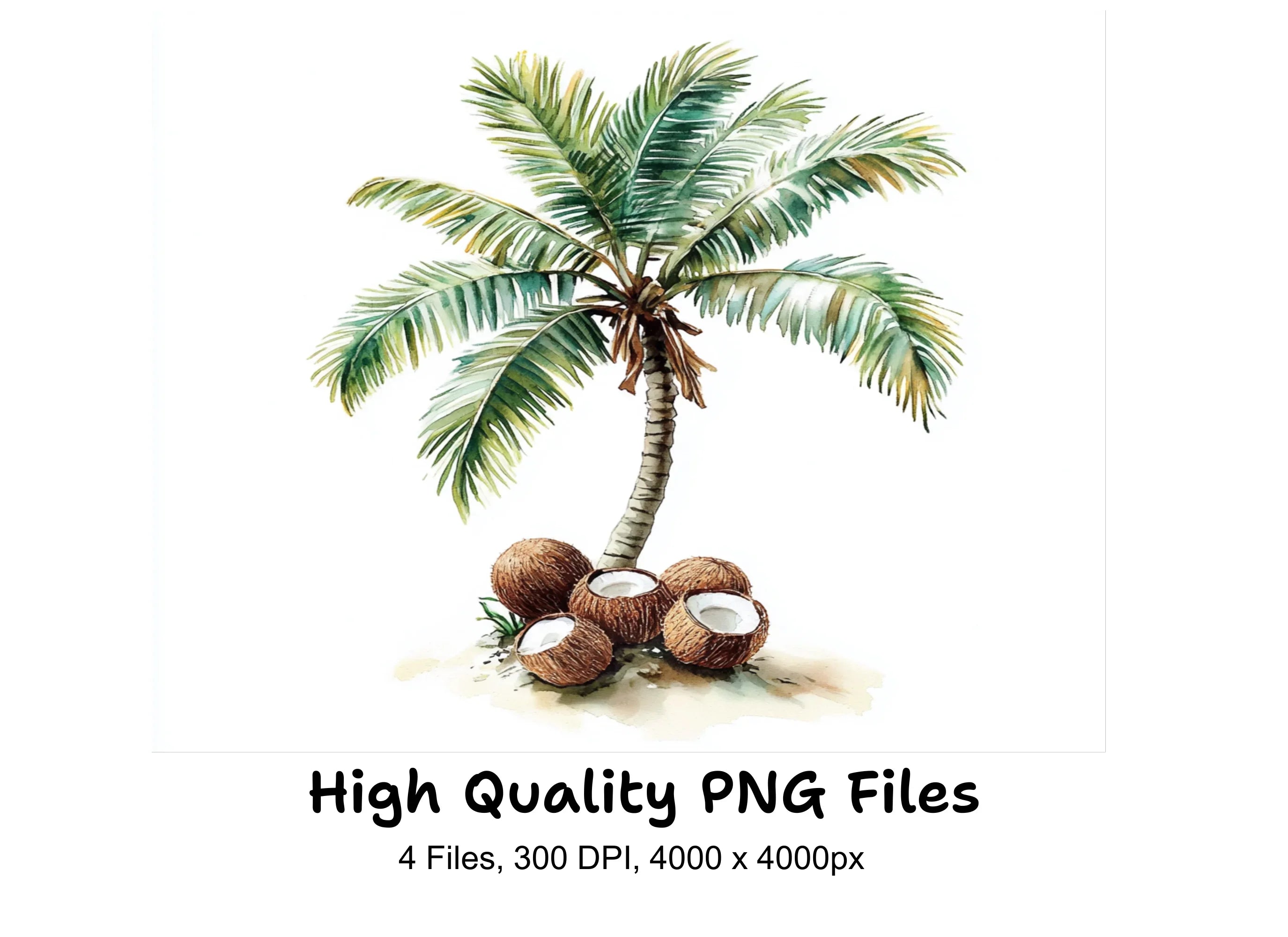 Palm Trees with Coconuts Clipart Bundle