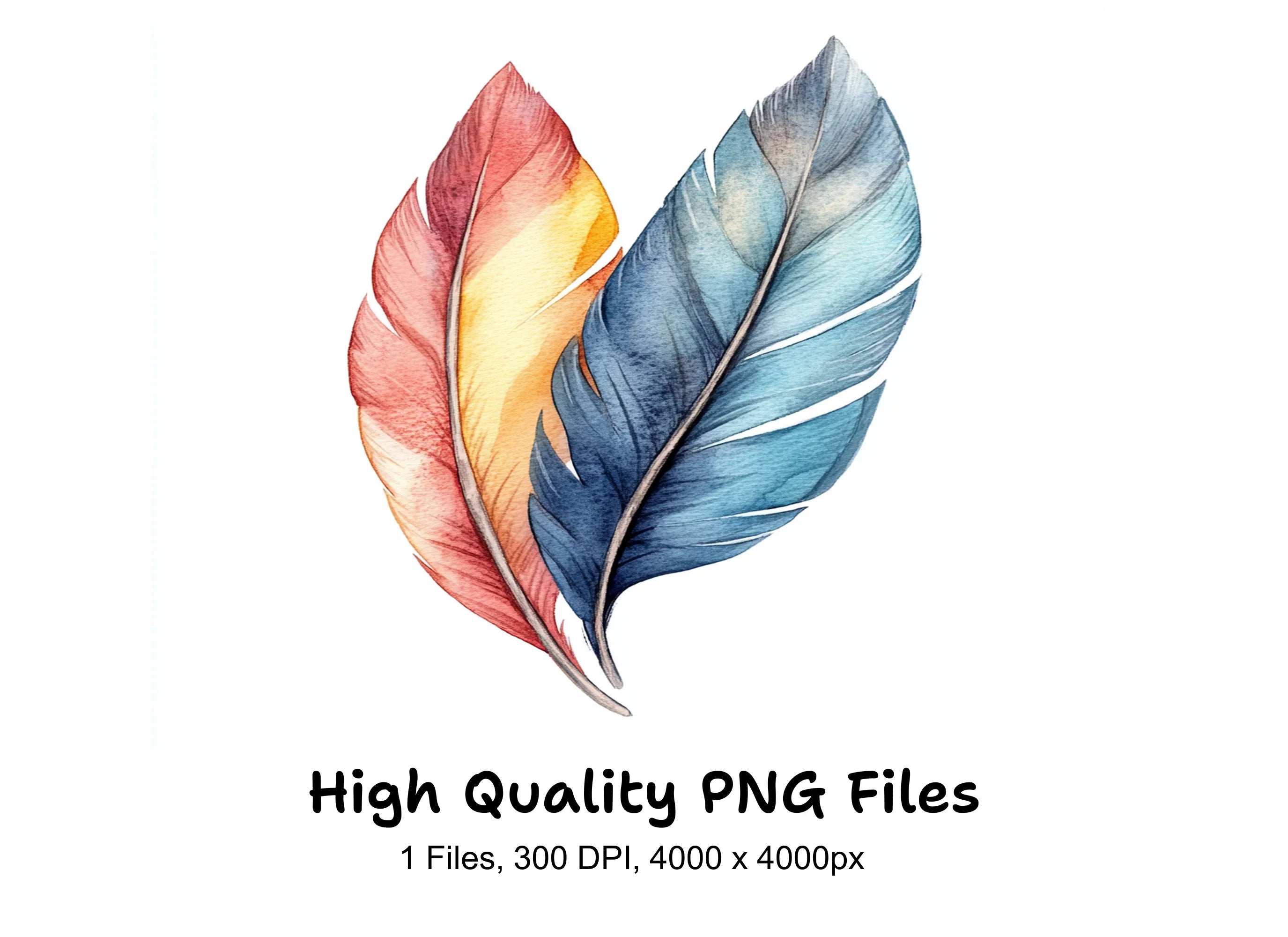 Colorful Feather Clipart Bundle