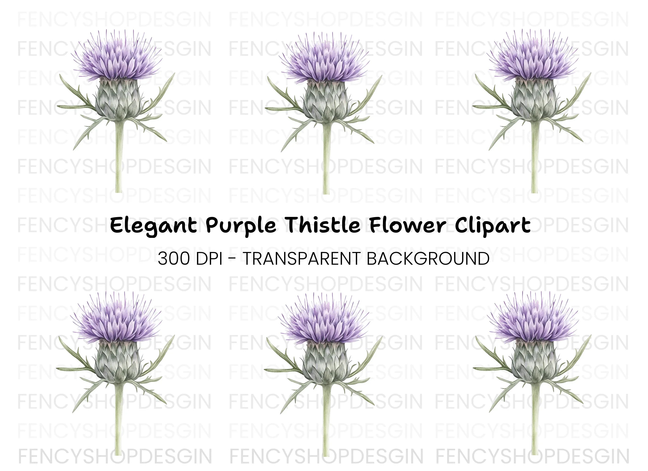 Elegant Thistle Bloom Clipart Bundle