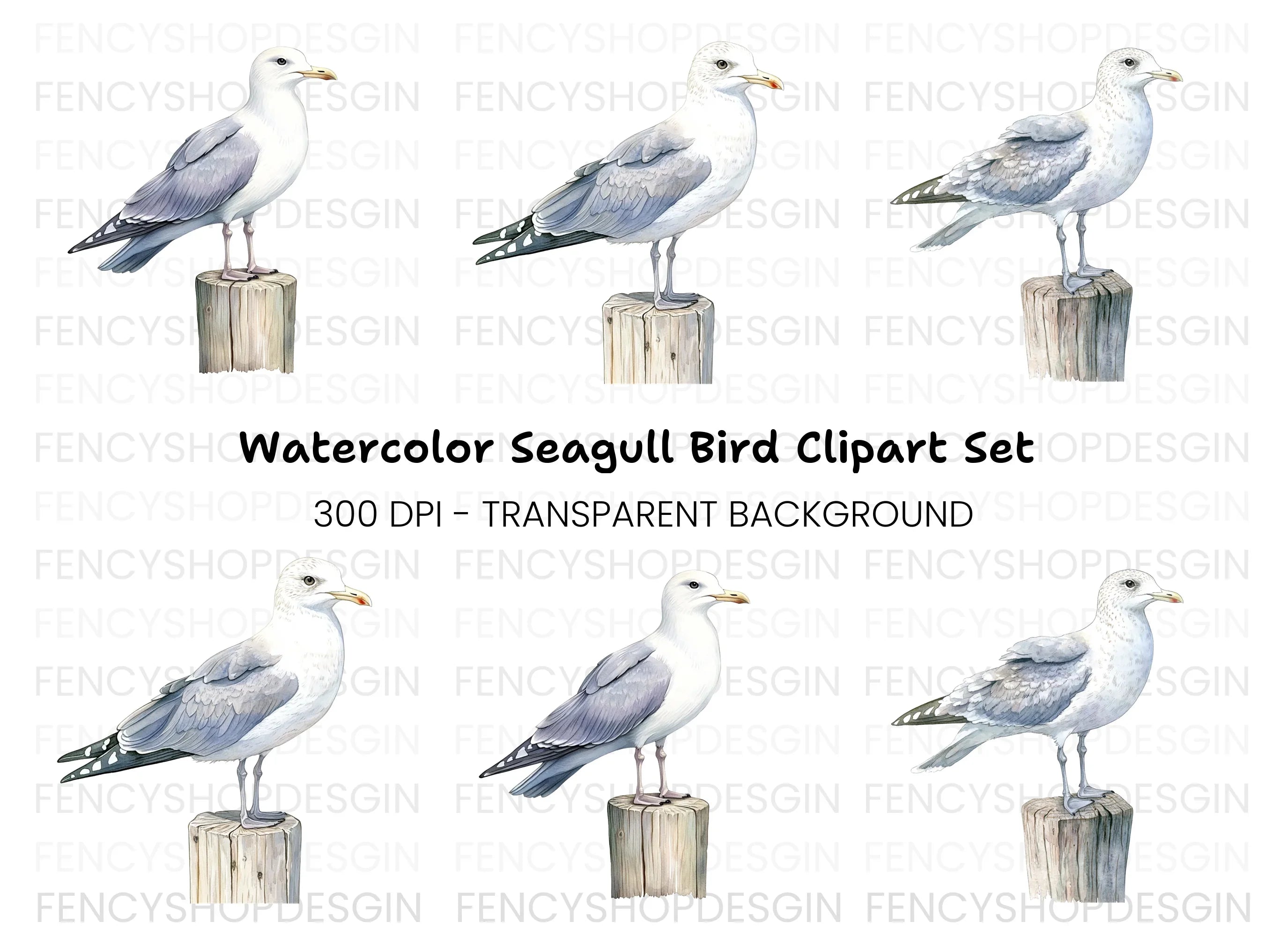Seagull Clipart Bundle