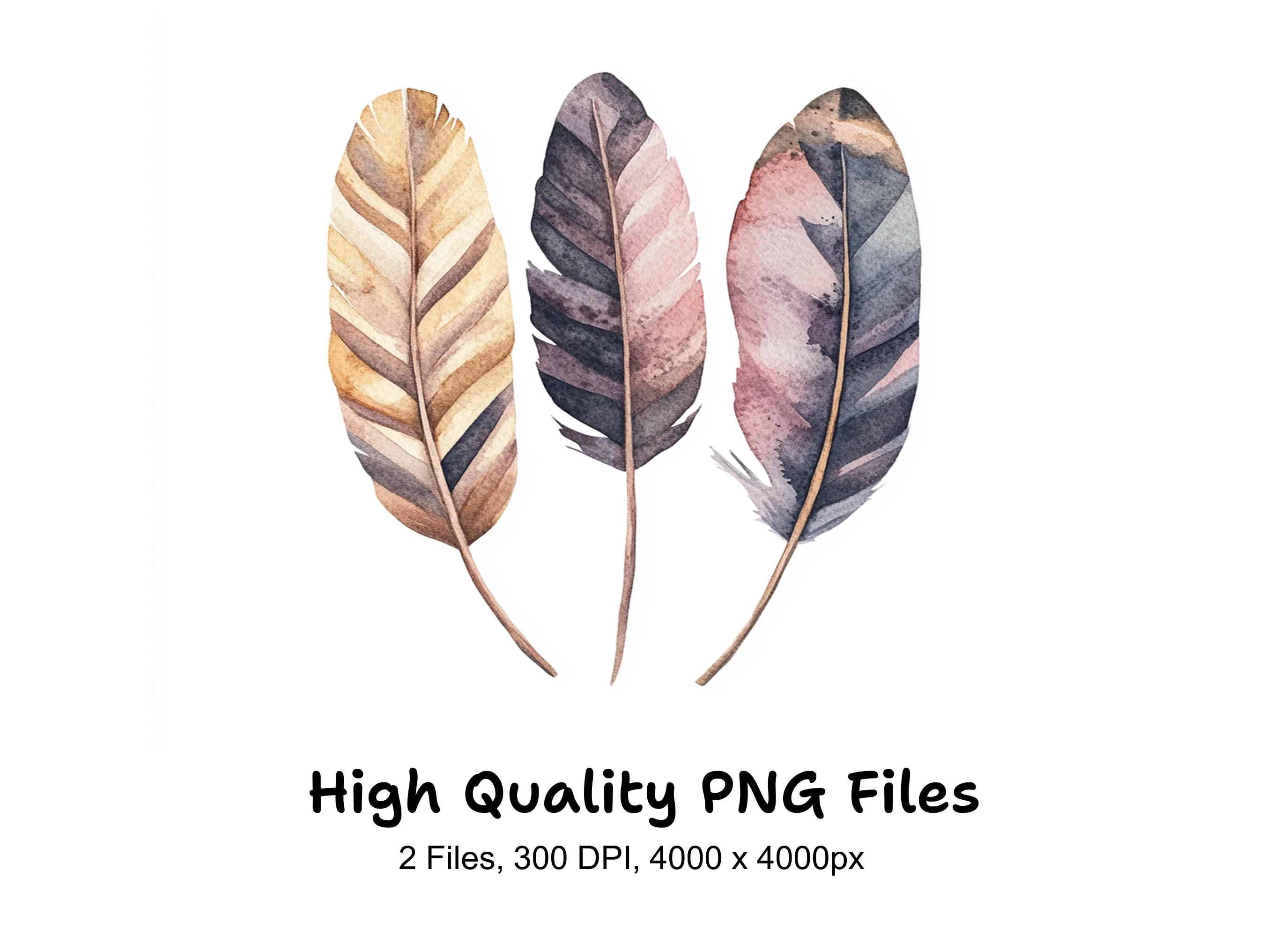 Natural Feather Clipart Bundle