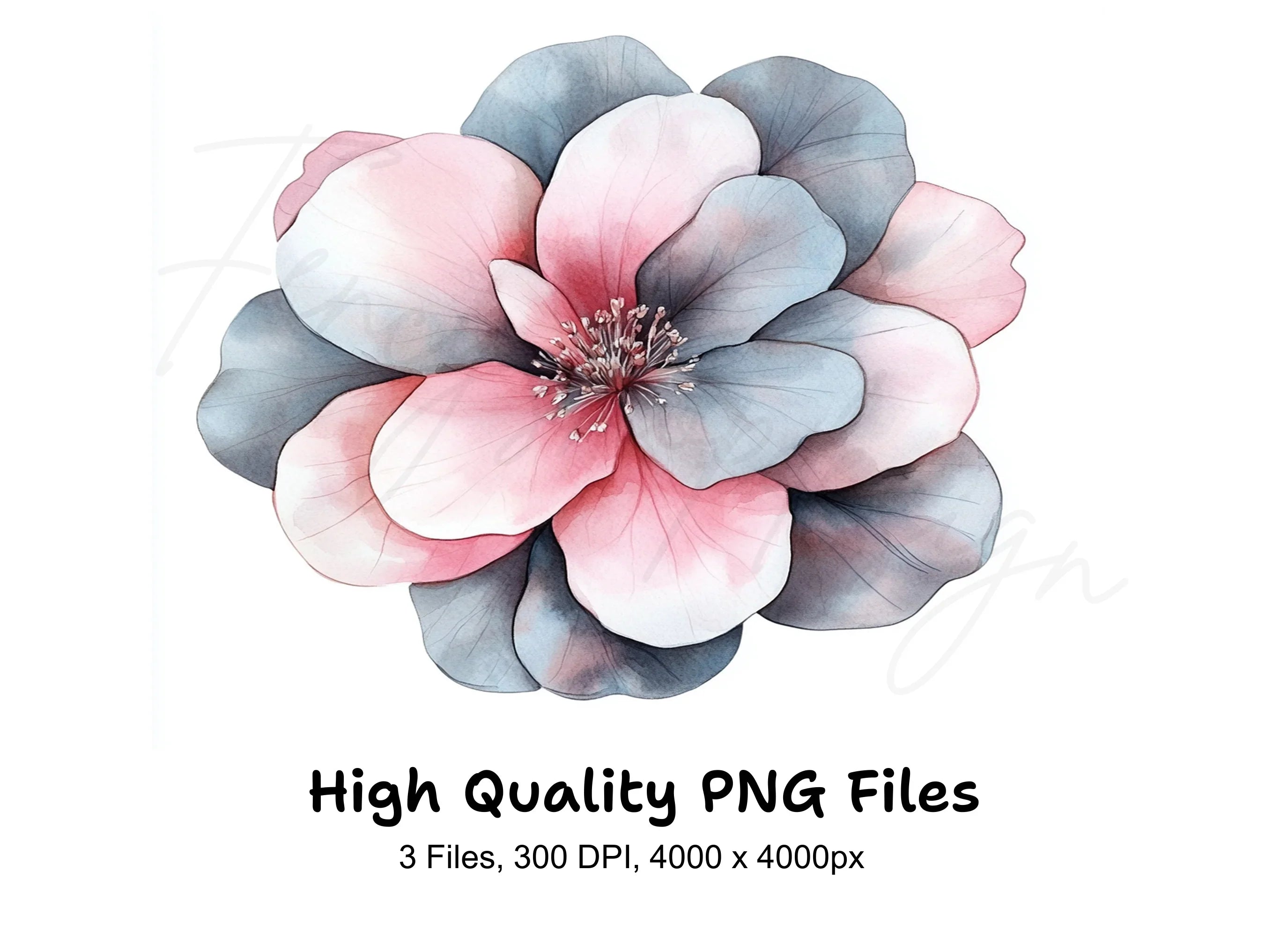Pink and Grey Flowers Clipart Bundle