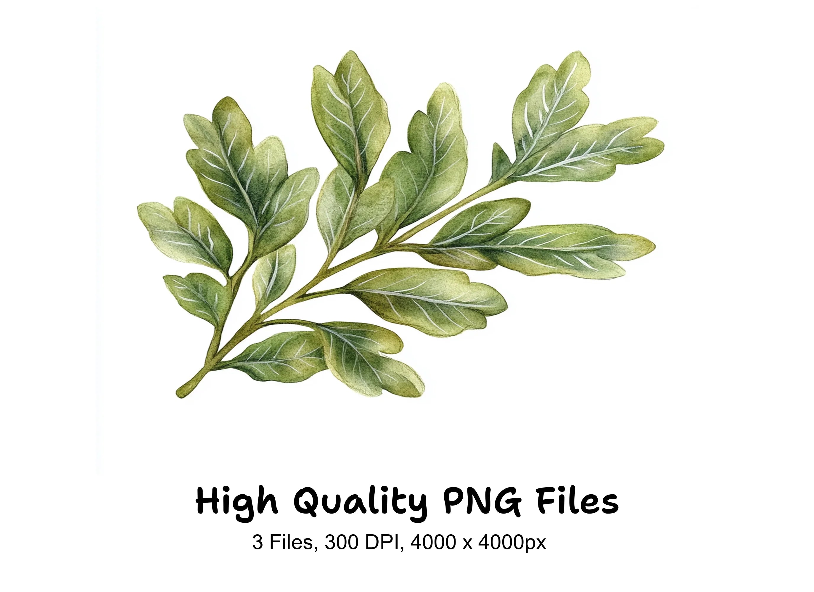 Green Leaves Clipart Bundle