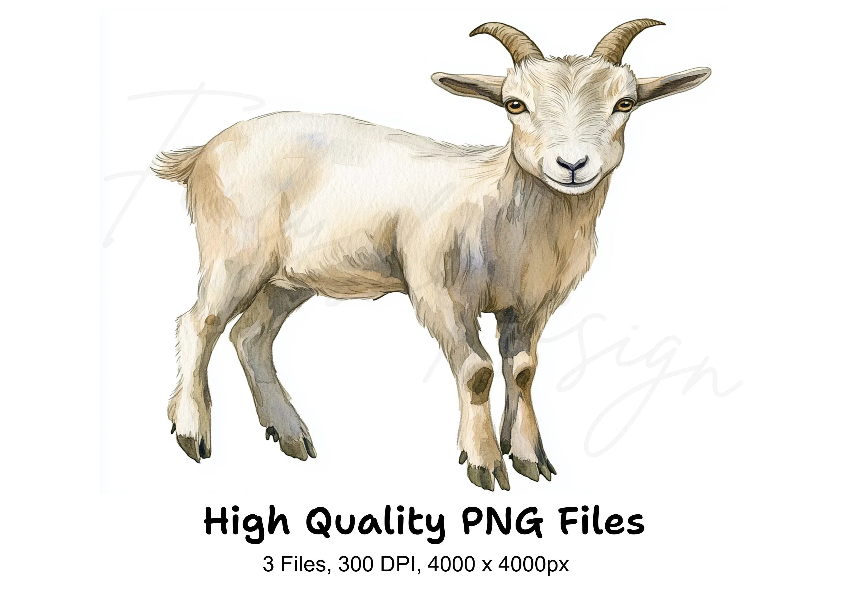 Cute Baby Goat Clipart Bundle