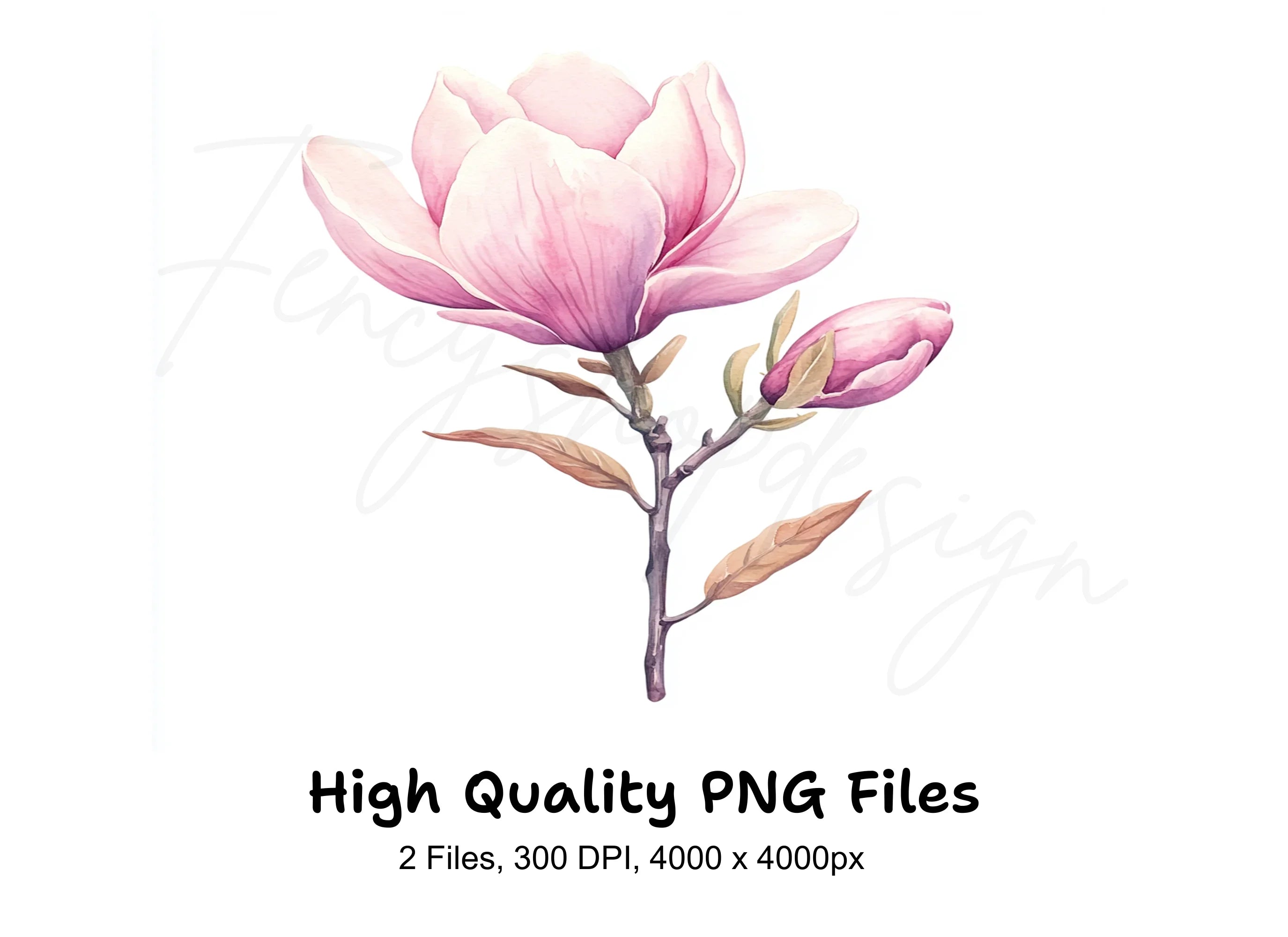 Pink Magnolia Flower Clipart Bundle