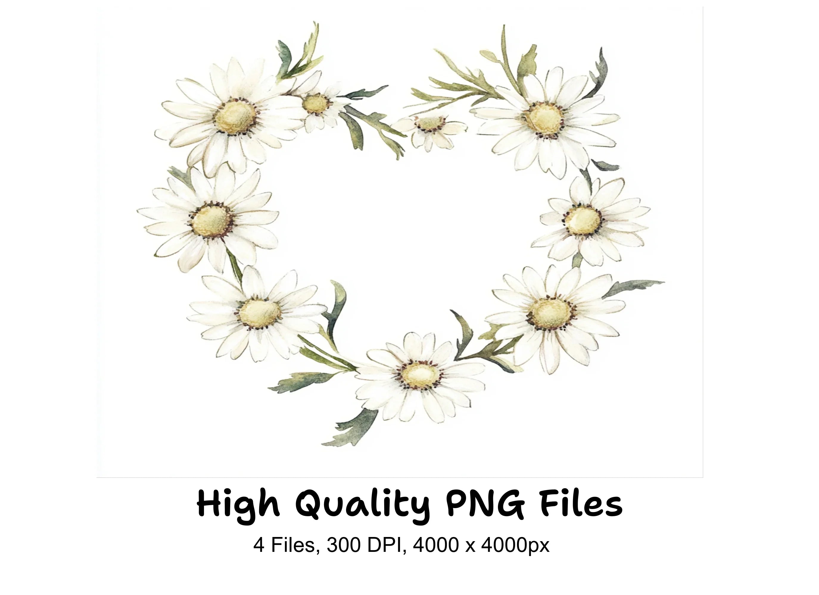 Charming Daisy Wreaths Clipart Bundle