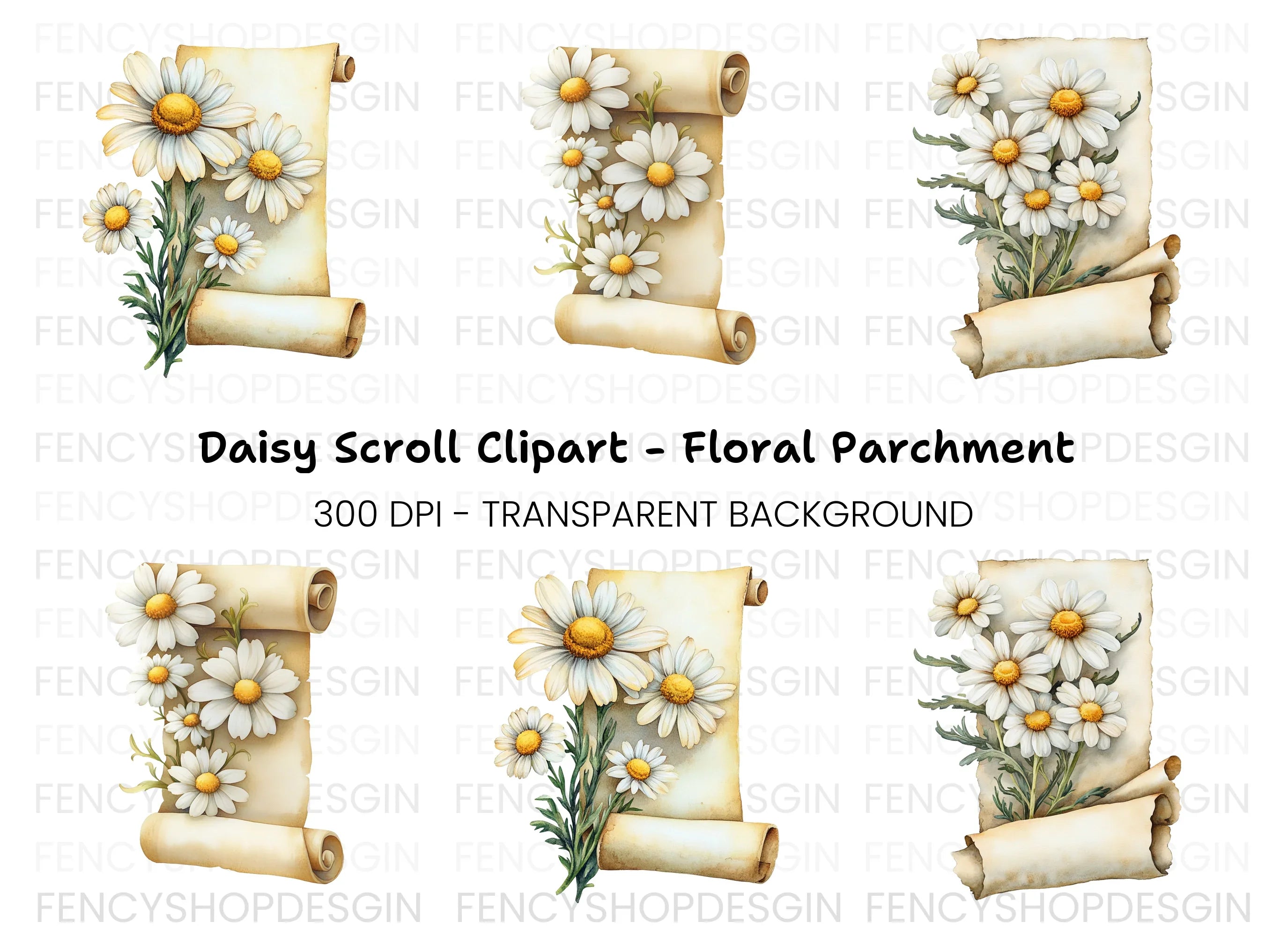 Daisy Scroll Clipart Bundle