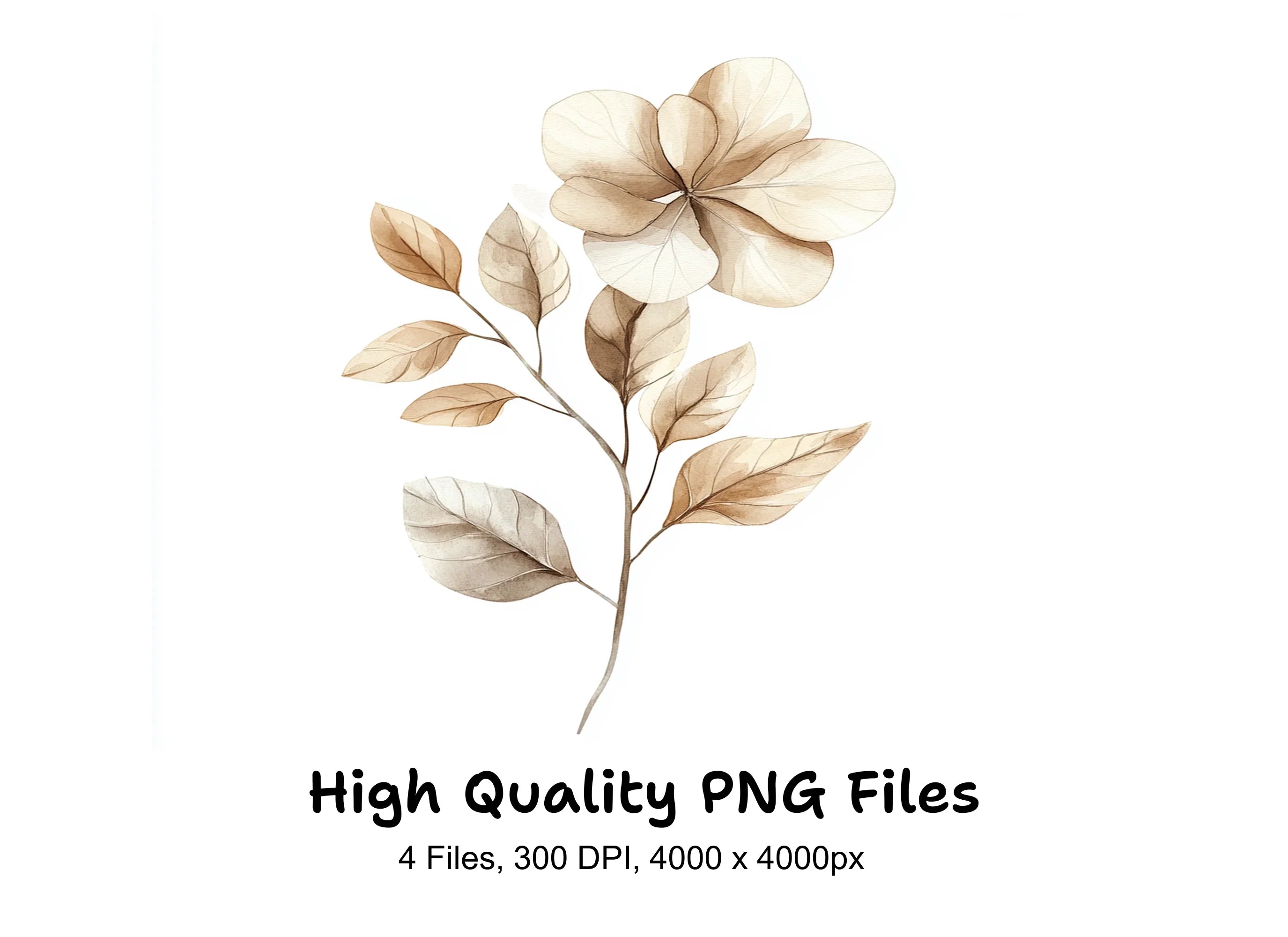Boho Neutral Floral Clipart Bundle