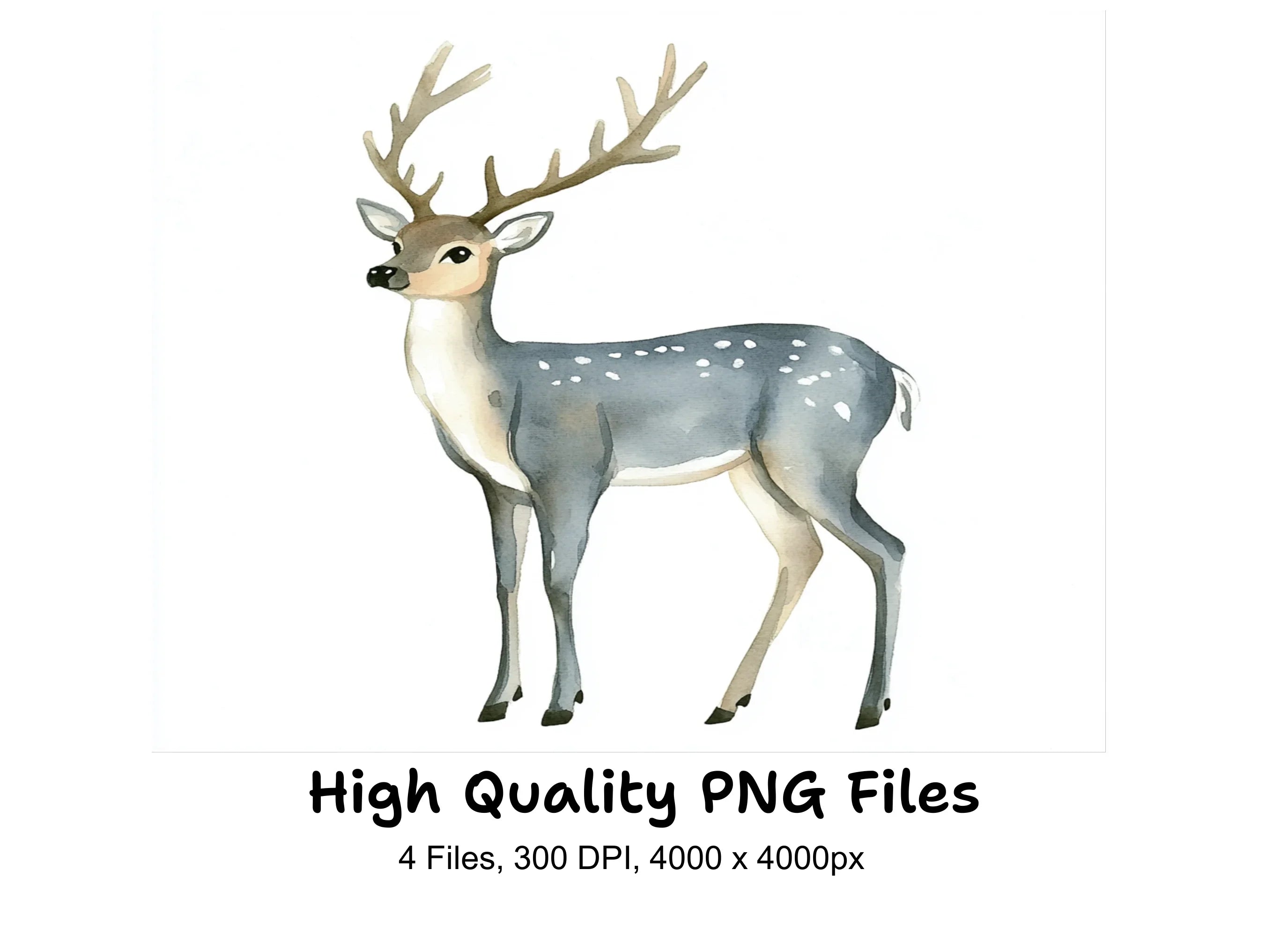 Spotted Deer Clipart Bundle