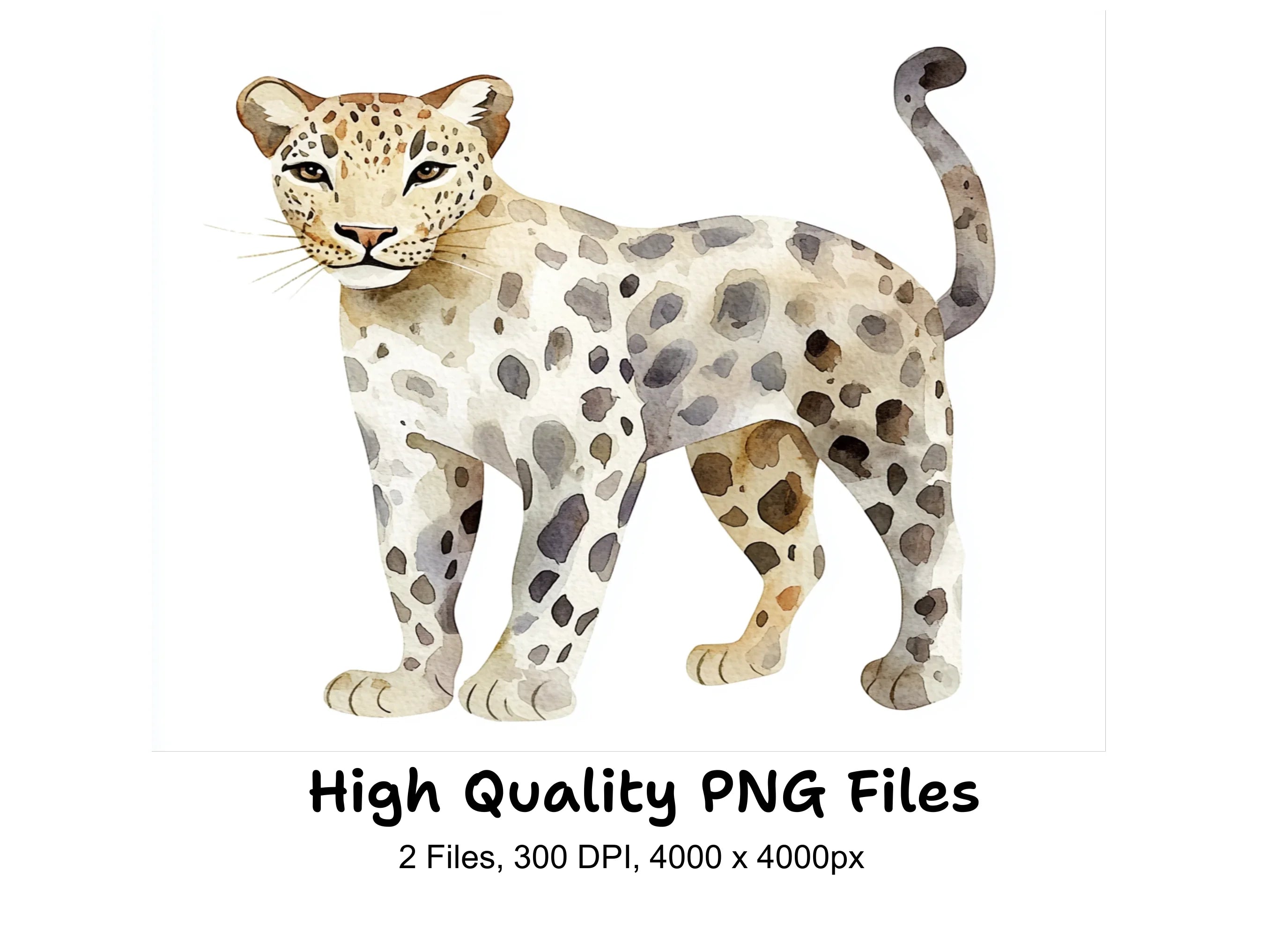 Leopard and Cheetah Clipart Bundle