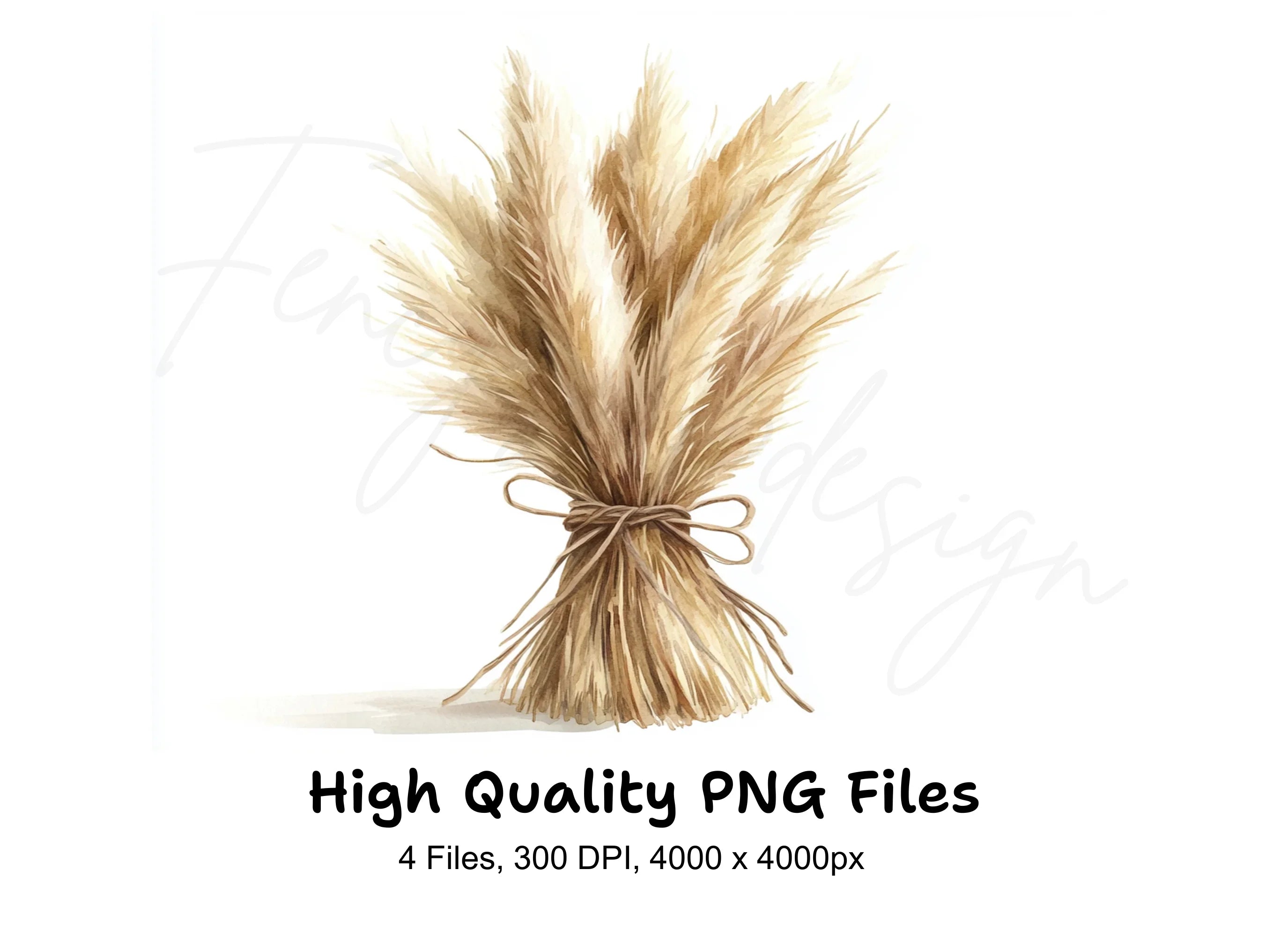Pampas Grass Bouquets Clipart Bundle