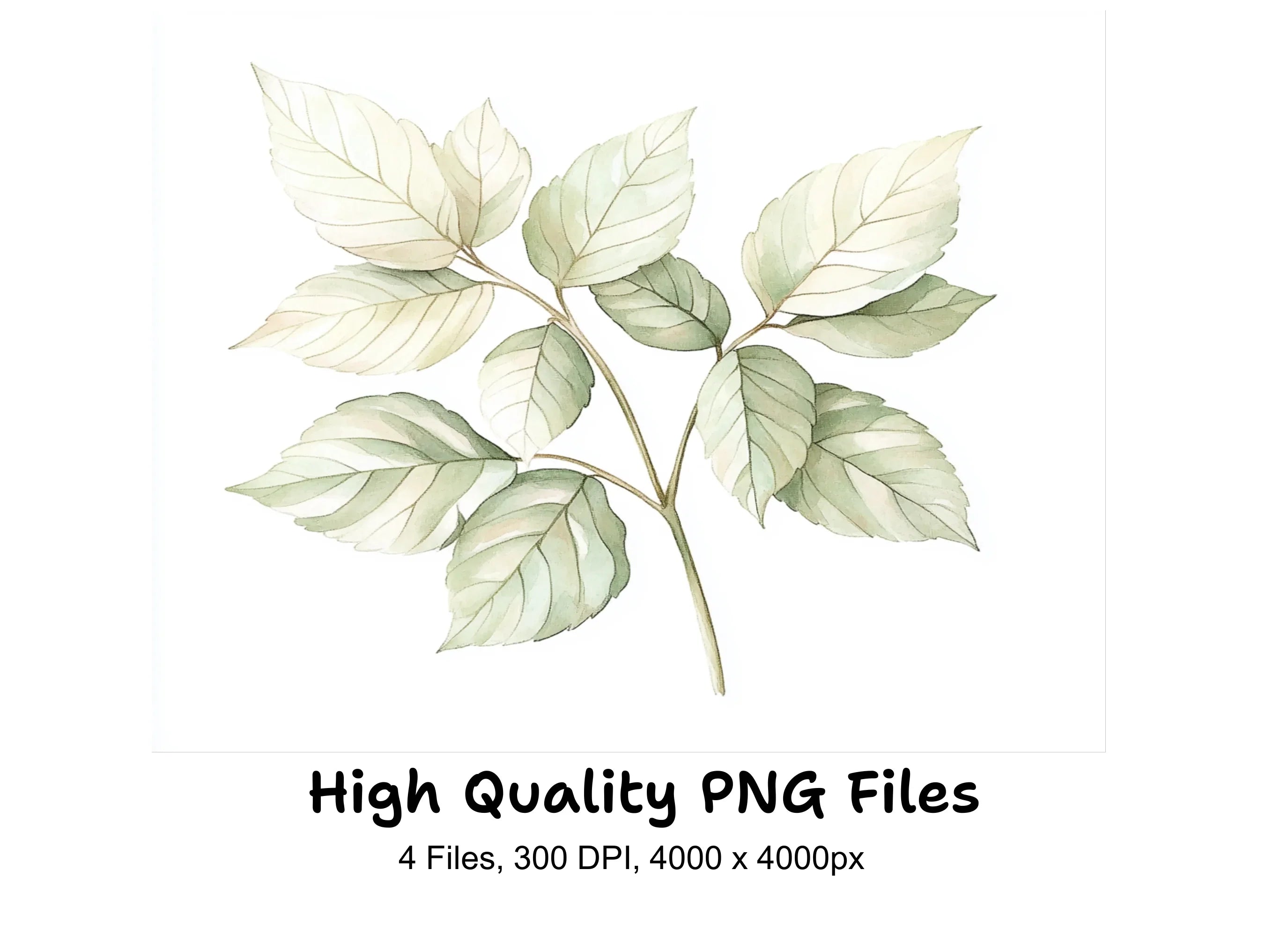 Green and White Leaves Clipart Bundle