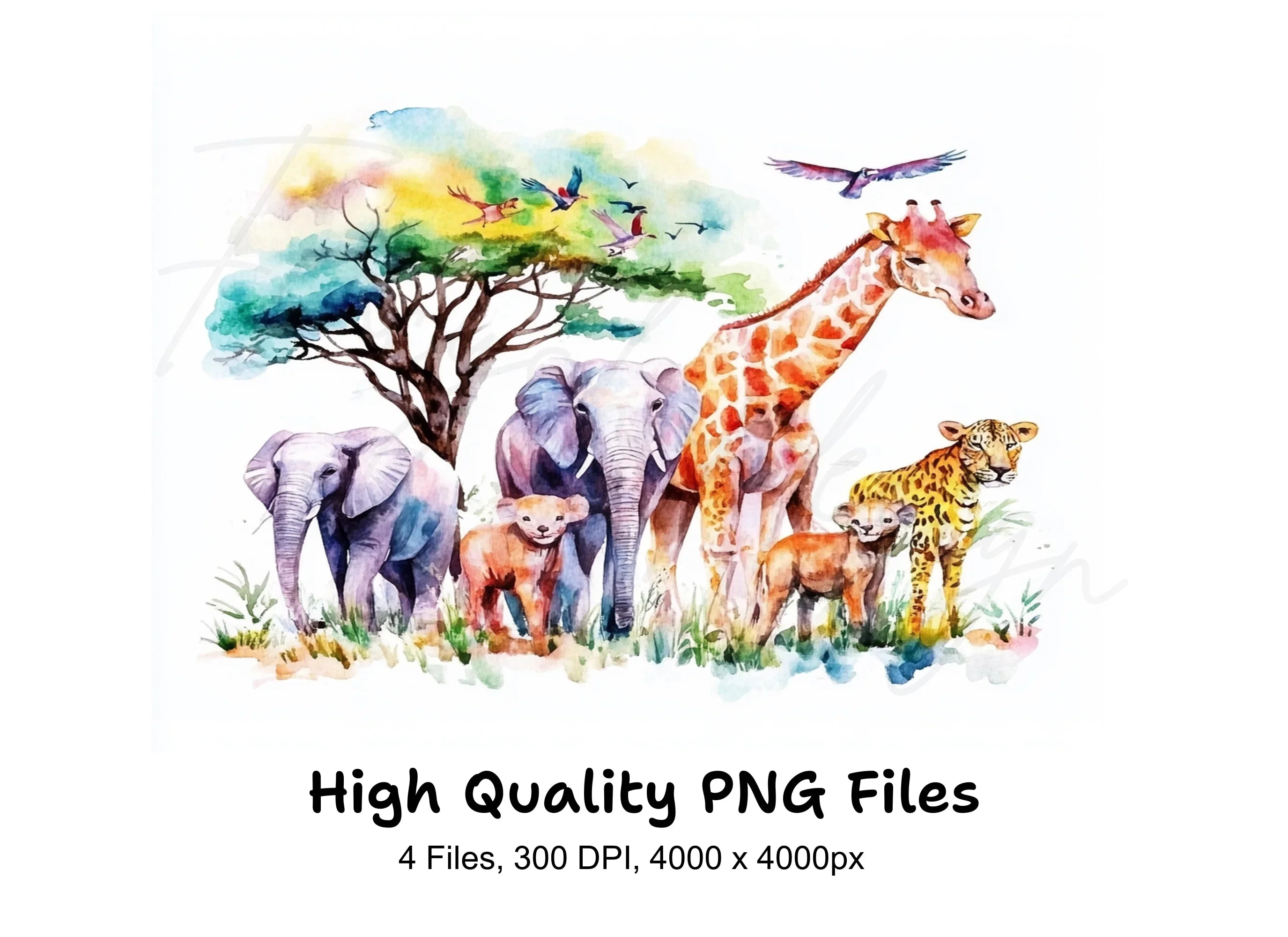 Safari Animals Clipart Bundle