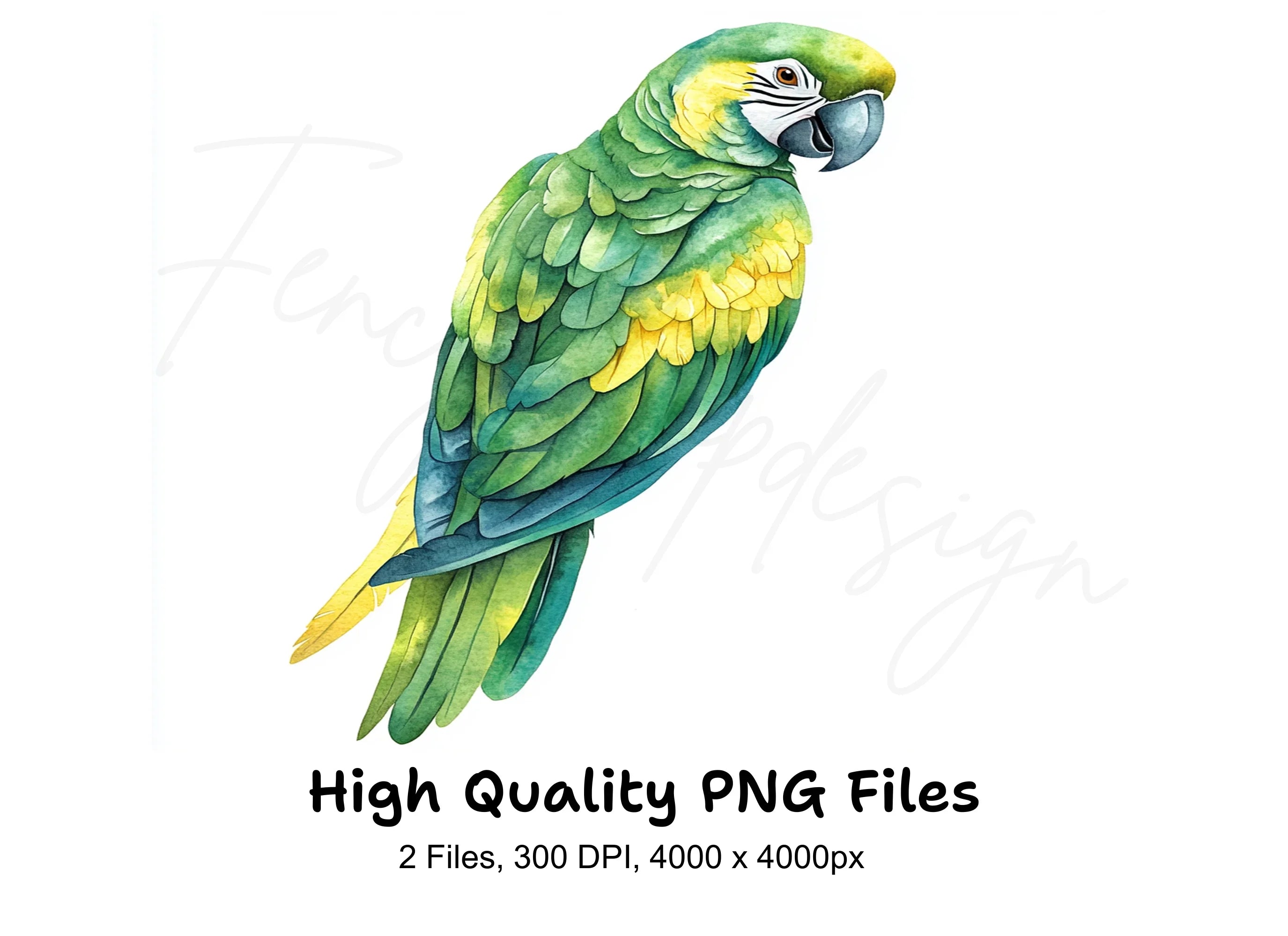 Vibrant Parrot Clipart Bundle
