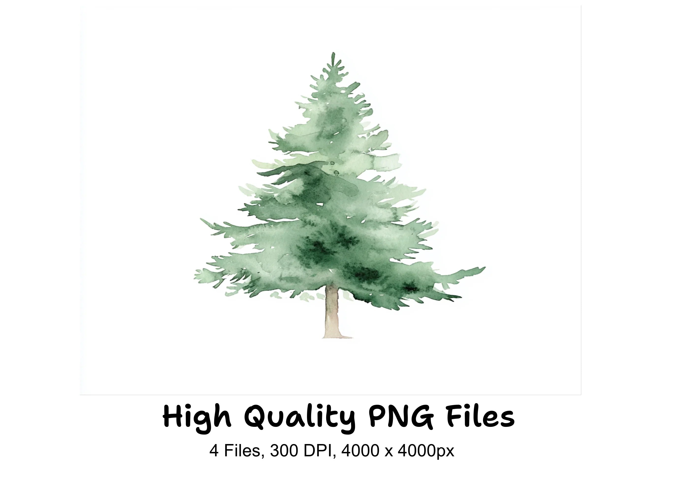 Green Pine Tree Clipart Bundle