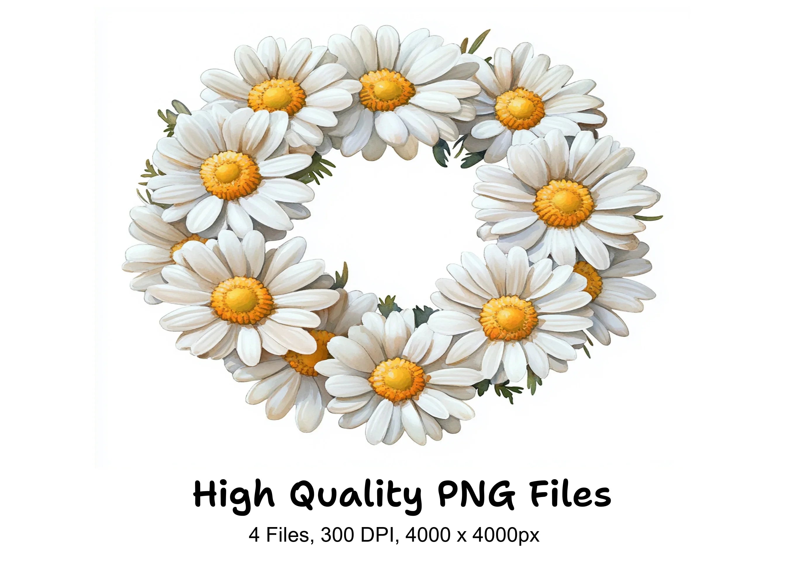 Daisy Wreath Clipart Bundle