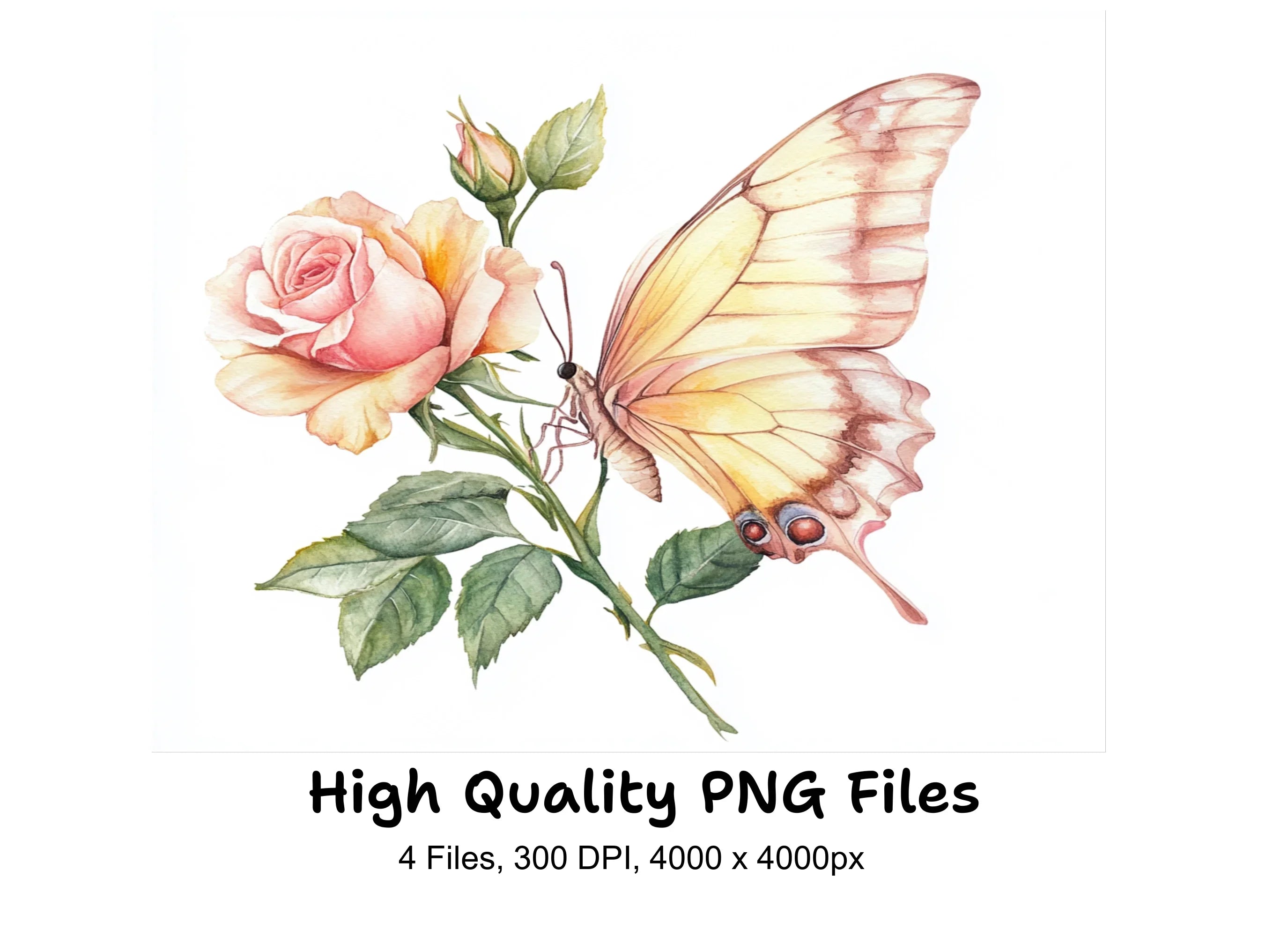 Butterfly Rose Clipart Bundle