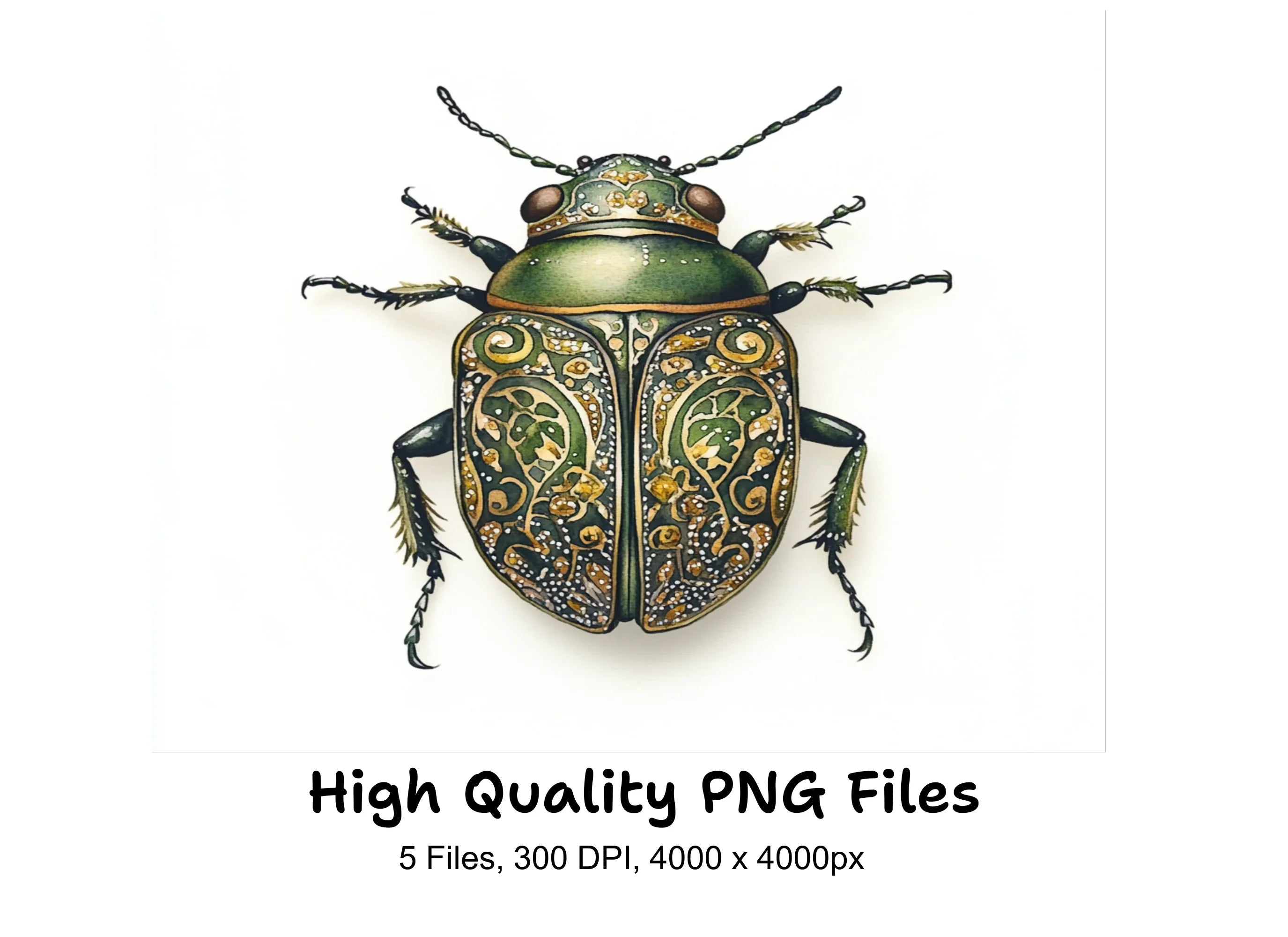 Ornate Patterned Beetle Clipart Bundle