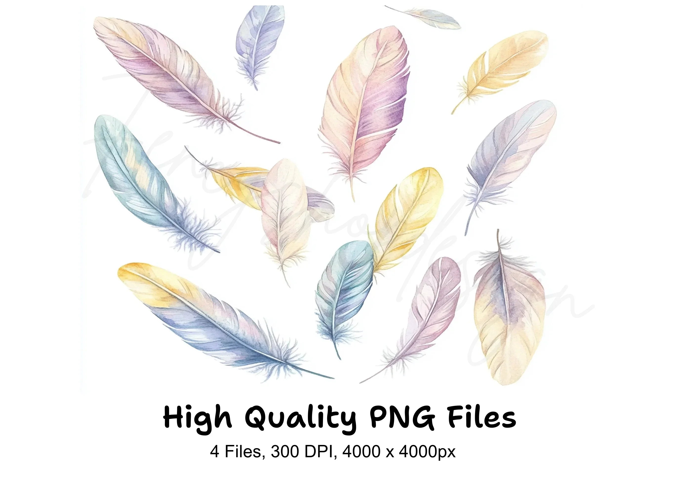 Soft Pastel Feather Clipart Bundle