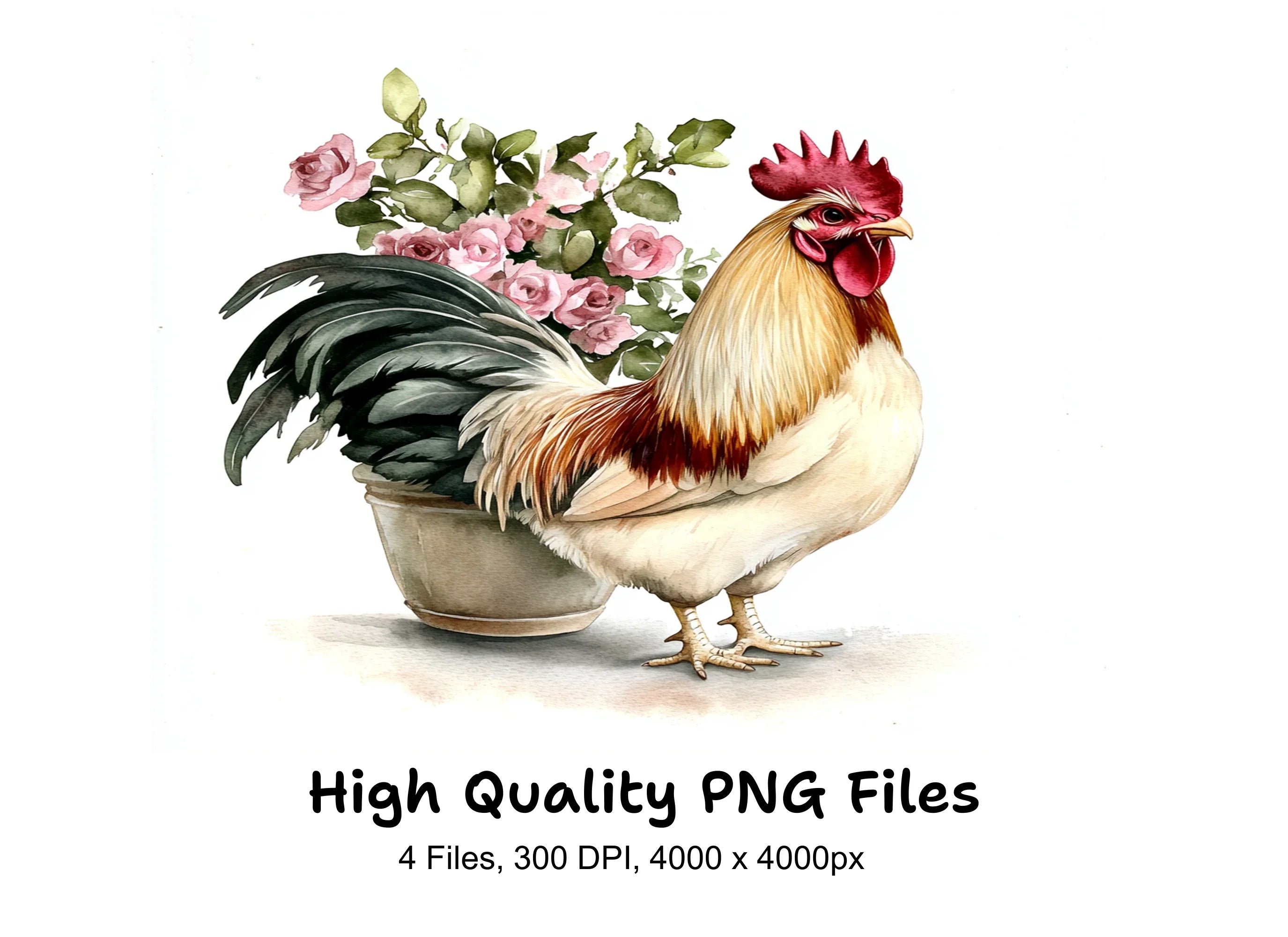 Rooster Clipart Bundle