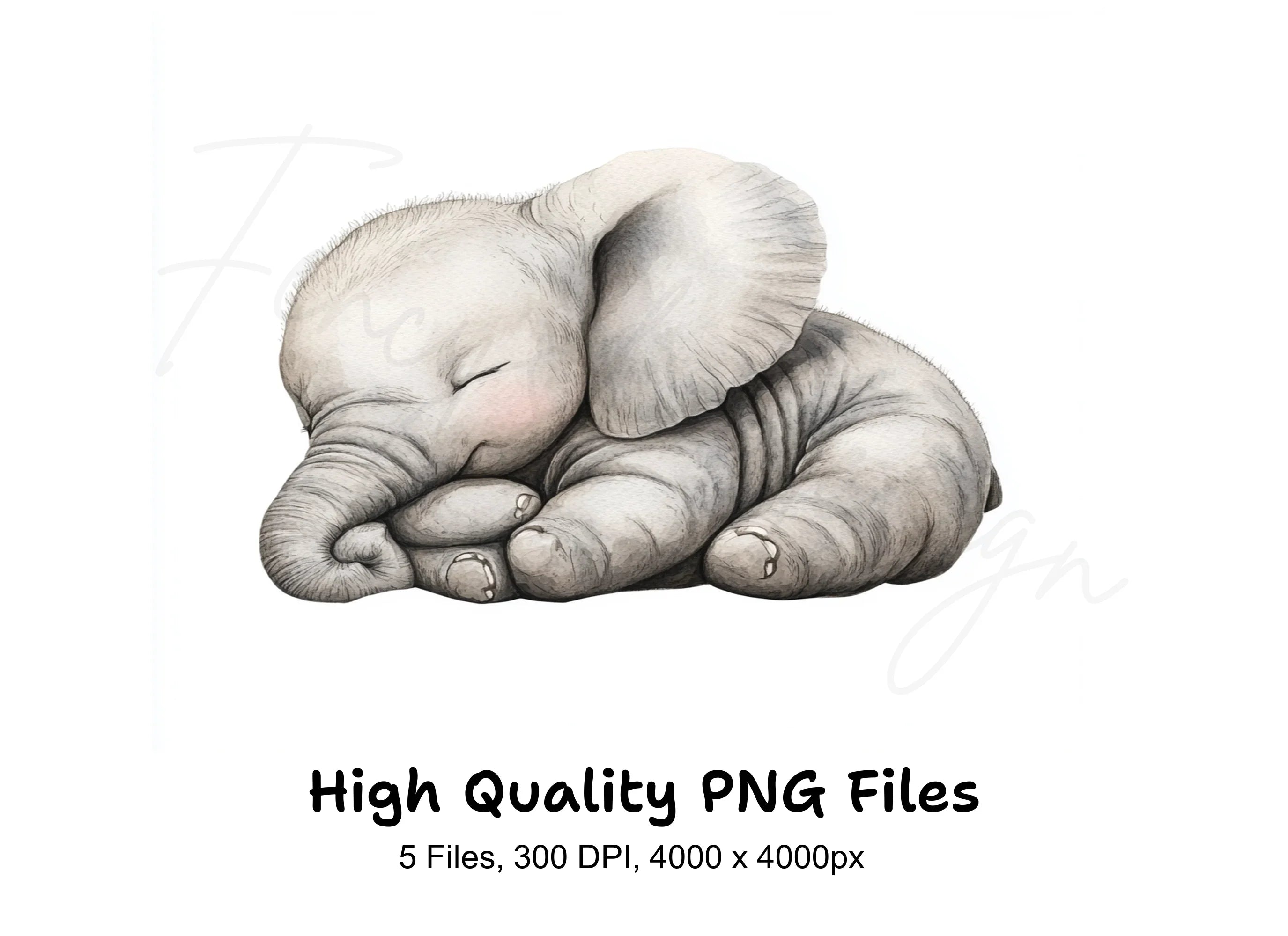 Cute Sleeping Baby Elephant Clipart Bundle