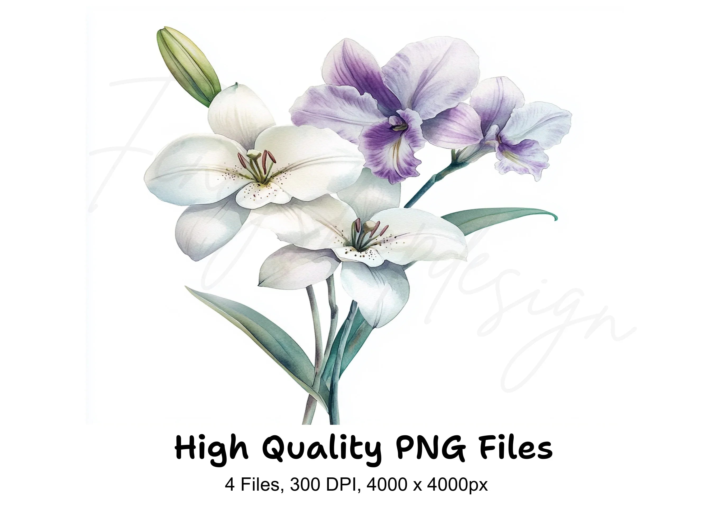 Elegant Lilies and Orchids Clipart Bundle