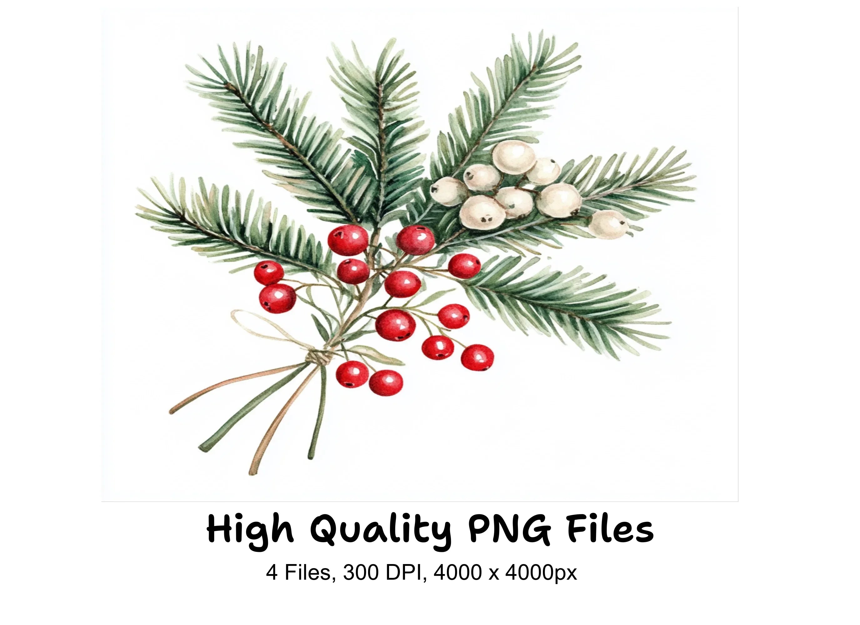 Winter Pine and Berry Clipart Bundle