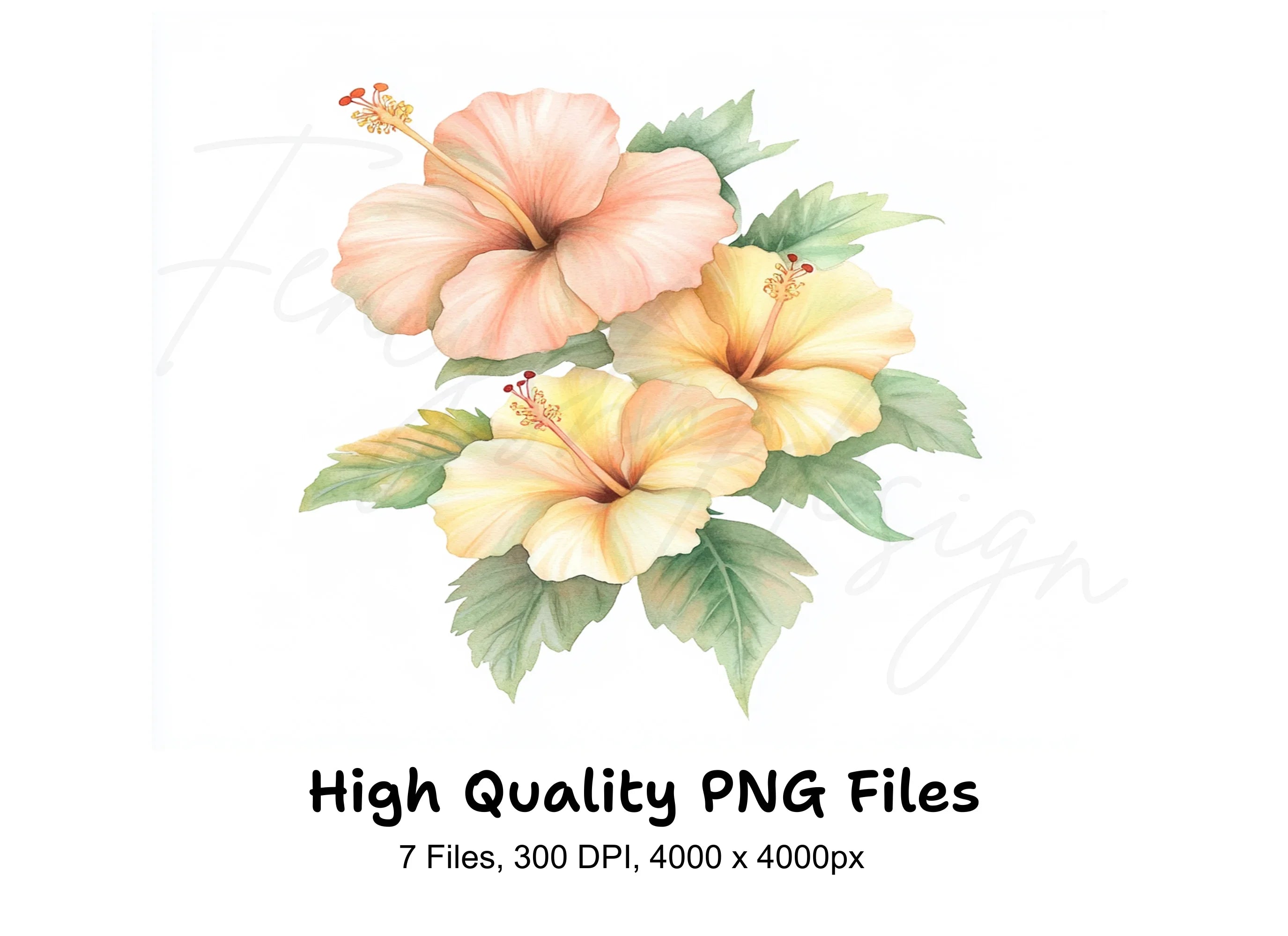 Elegant Hibiscus Flower Clipart Bundle