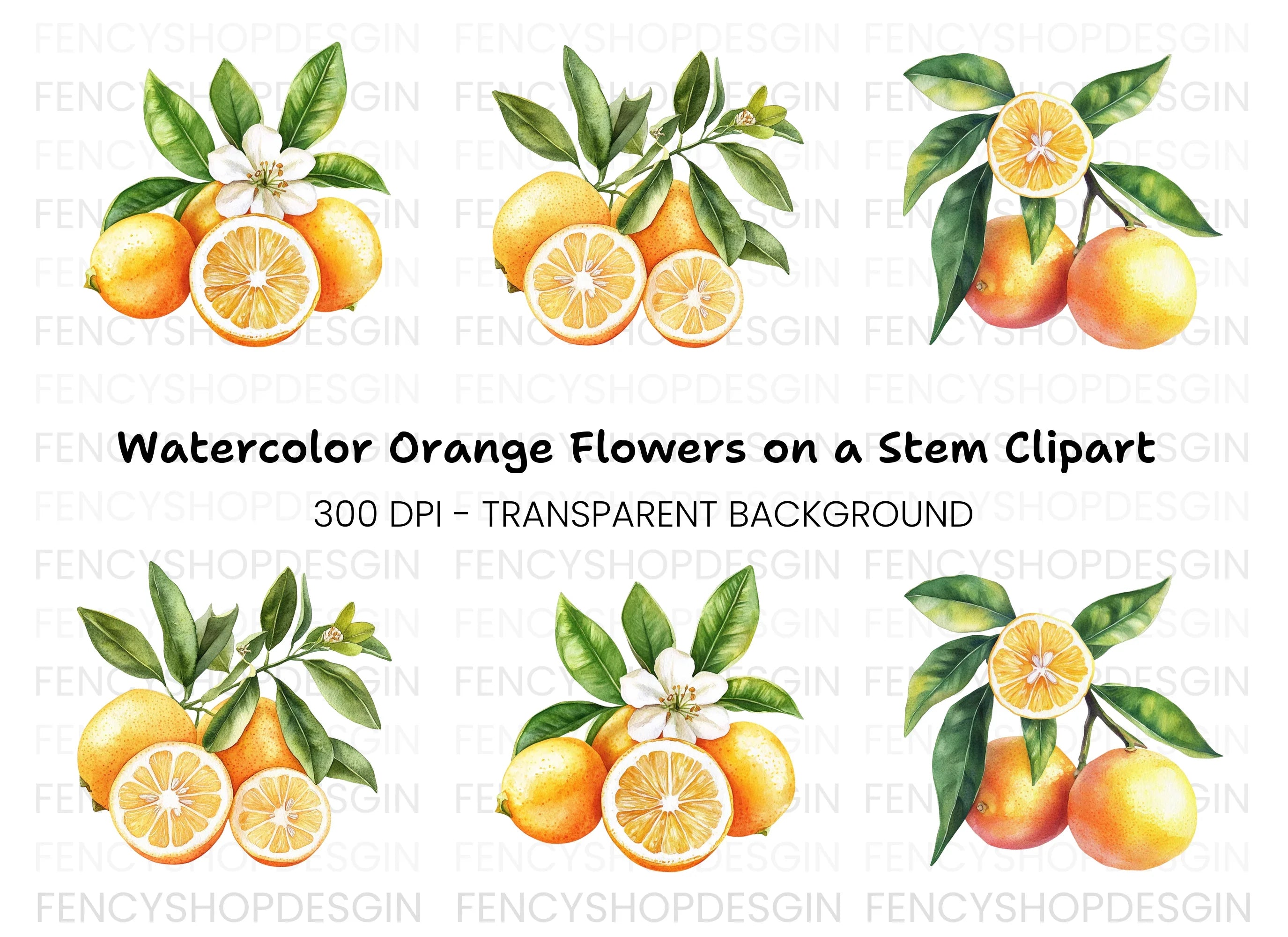 Citrus Fruit Clipart Bundle