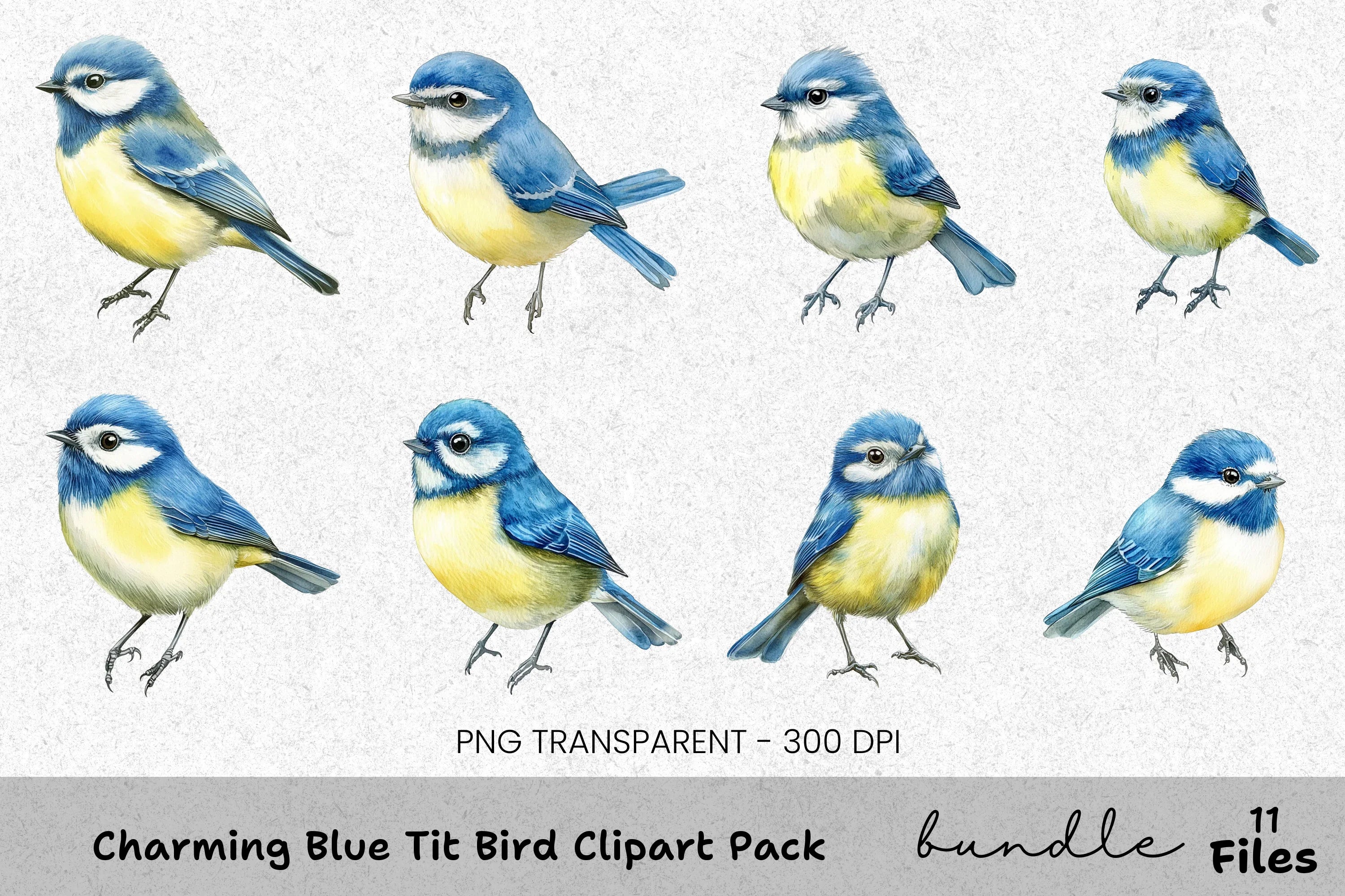 Charming Blue Tit Bird Clipart Bundle