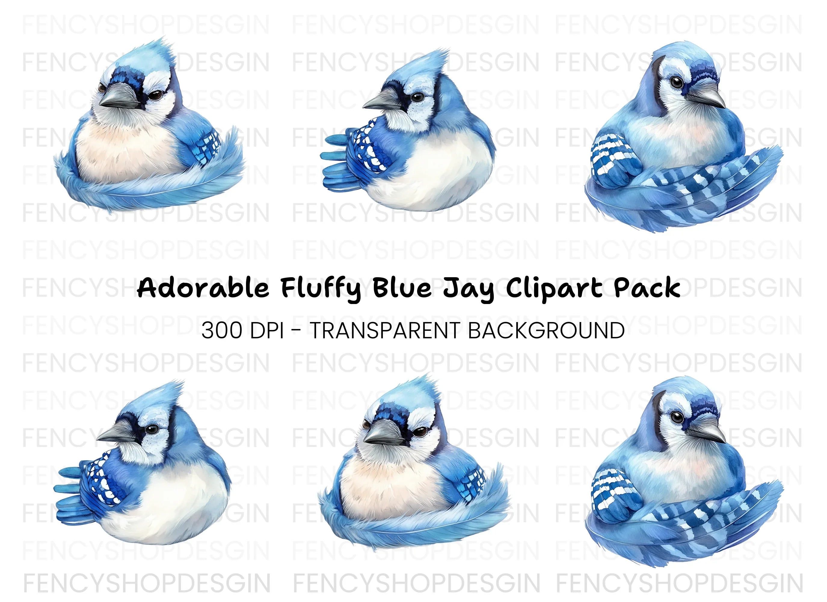 Cute Blue Jay Bird Clipart Bundle