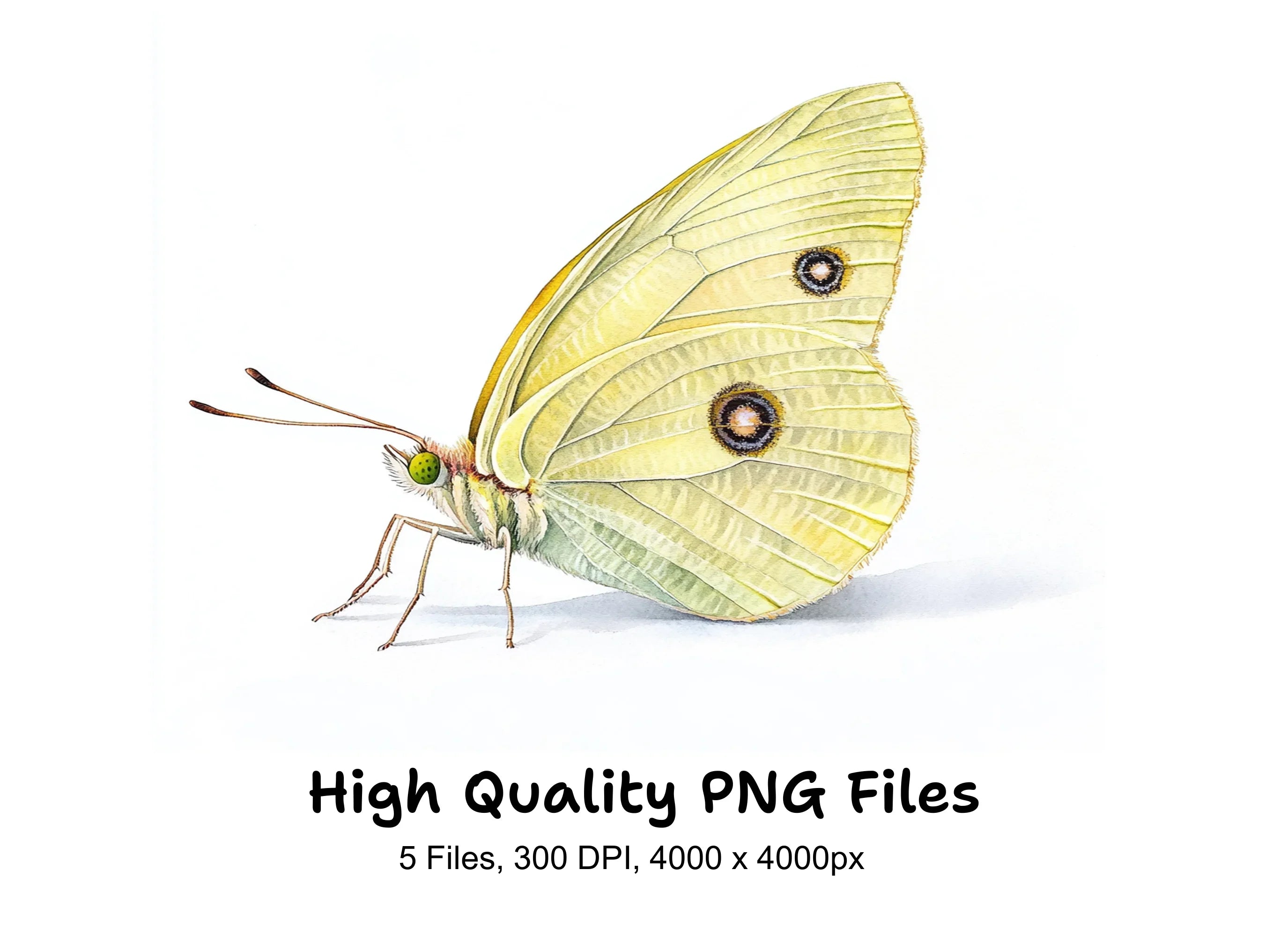 Pale Yellow Butterfly Clipart Bundle