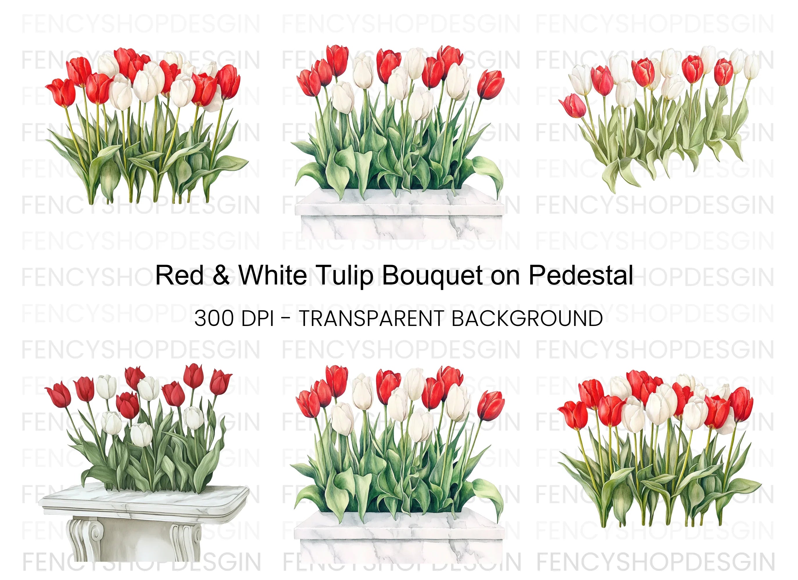 Vibrant Red and White Tulip Clipart Bundle