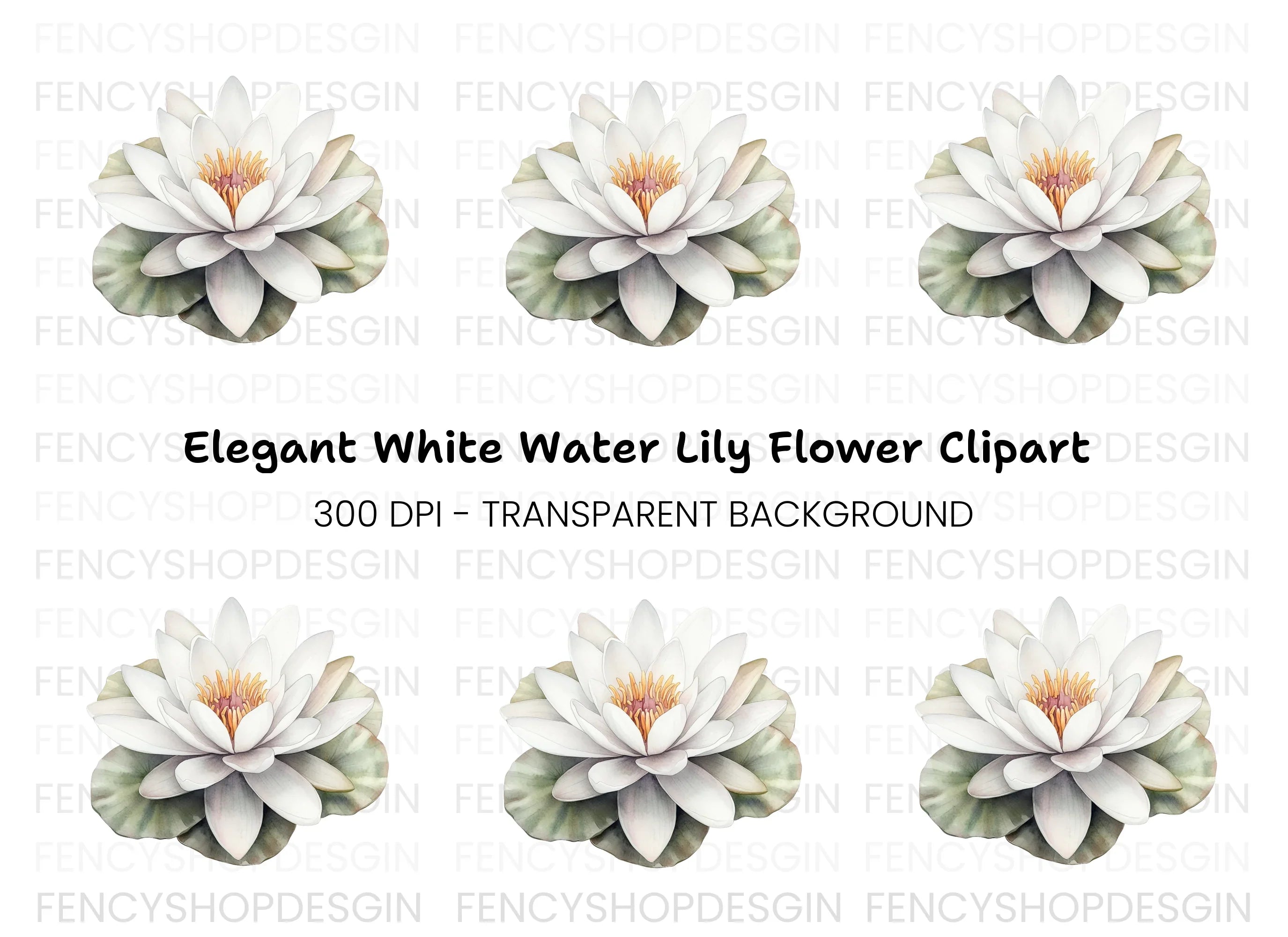 Elegant White Water Lily Clipart Bundle