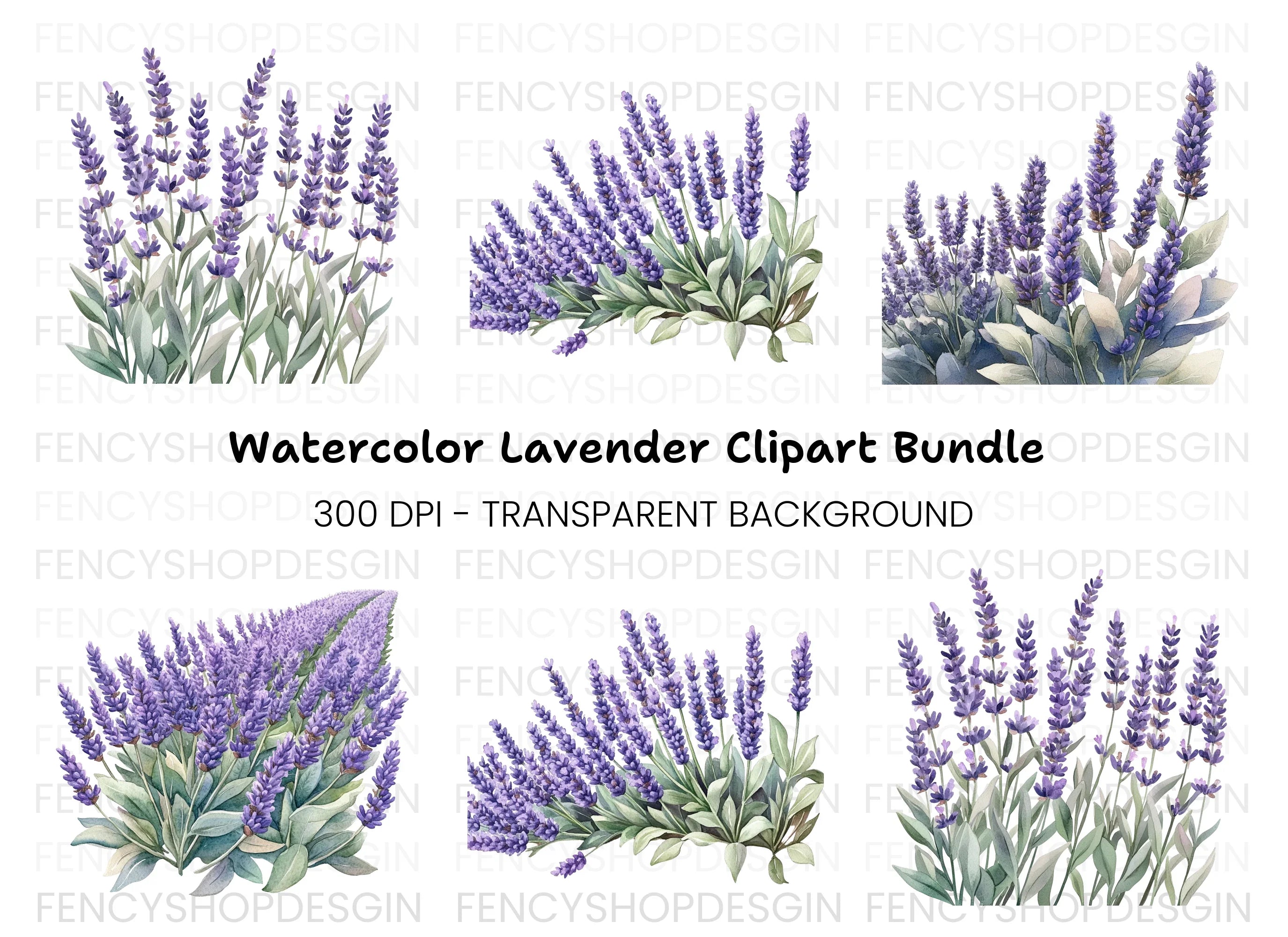 Beautiful Lavender Clipart Bundle