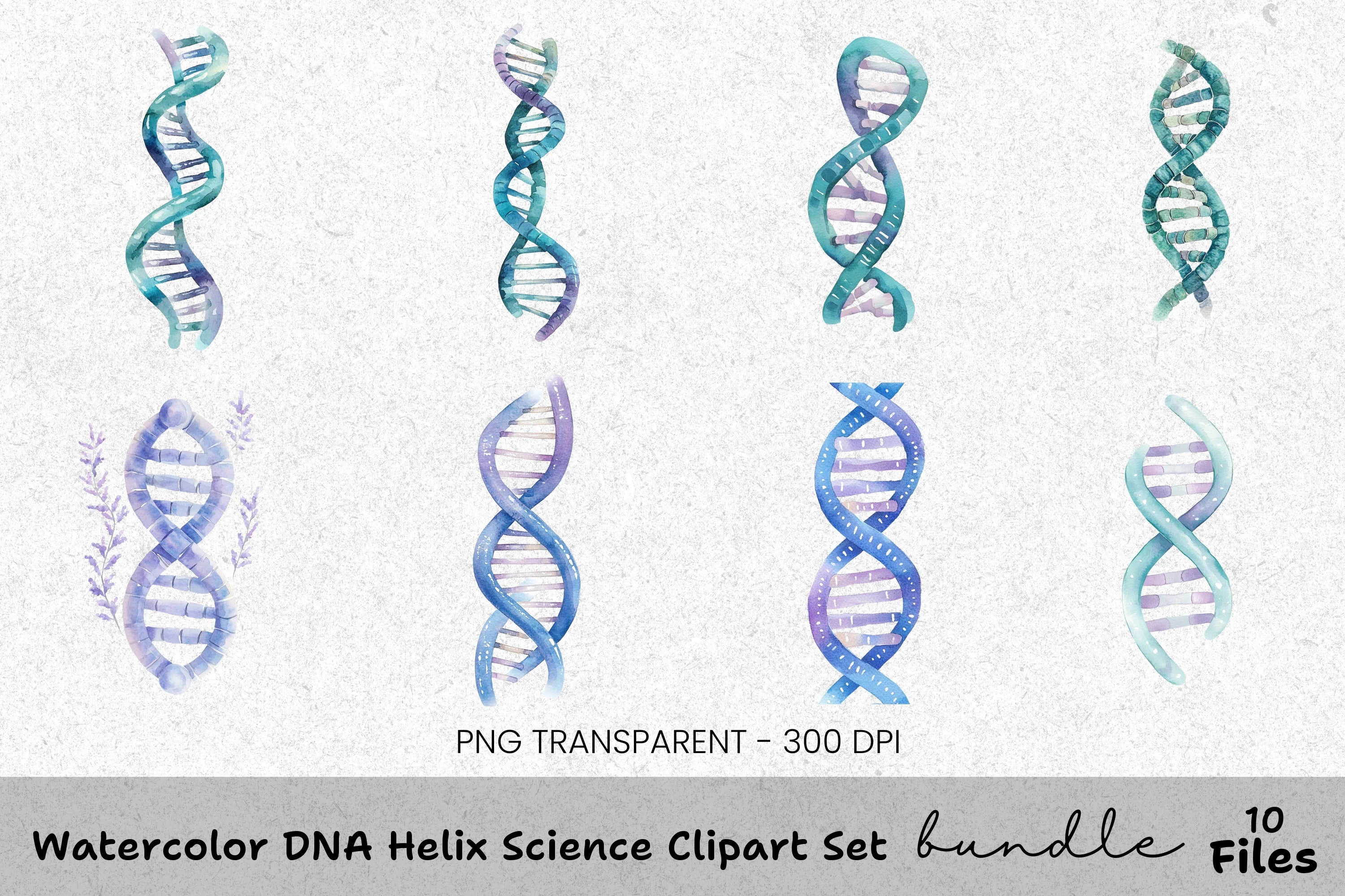 DNA Helix Science Clipart Bundle