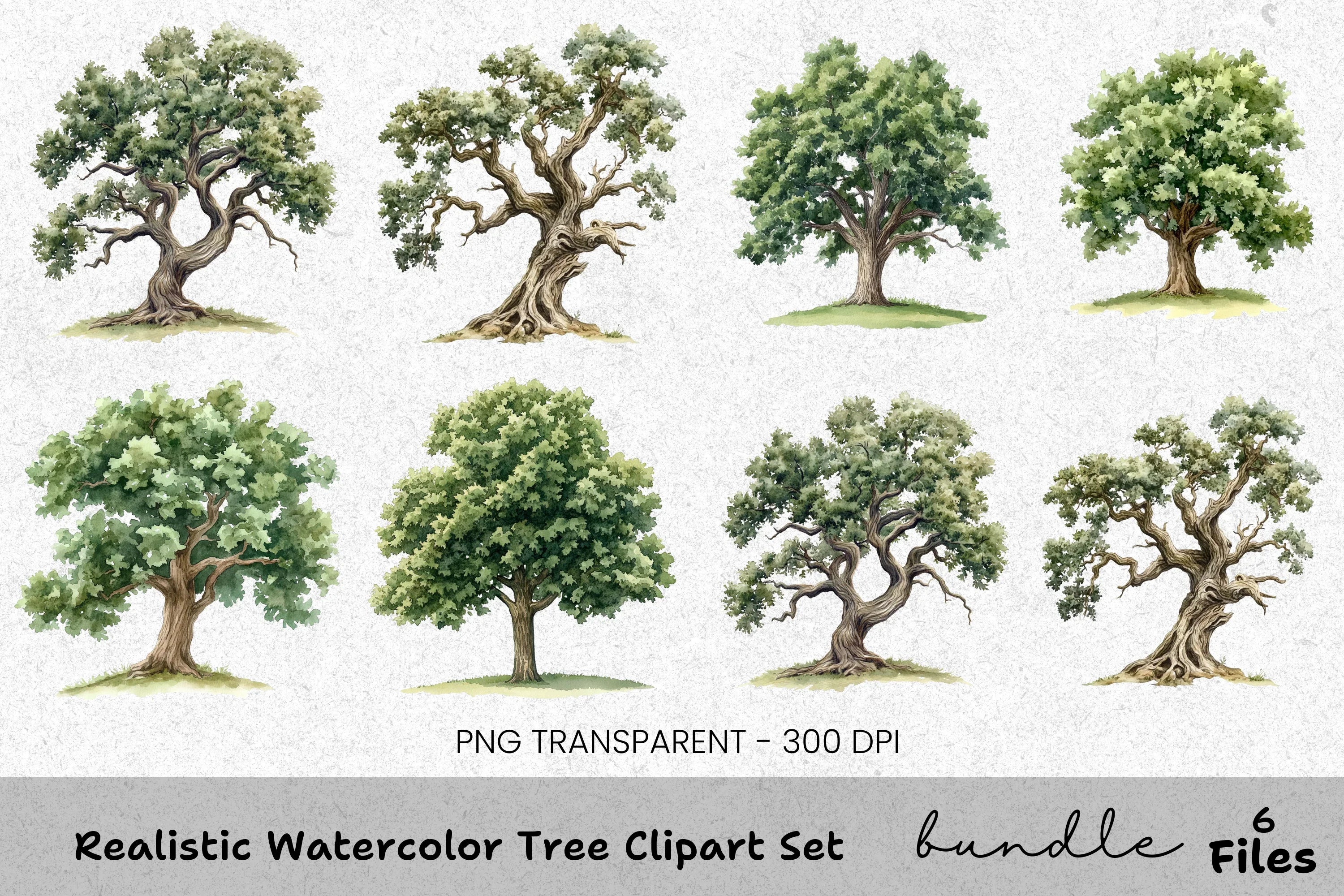Realistic Tree Clipart Bundle
