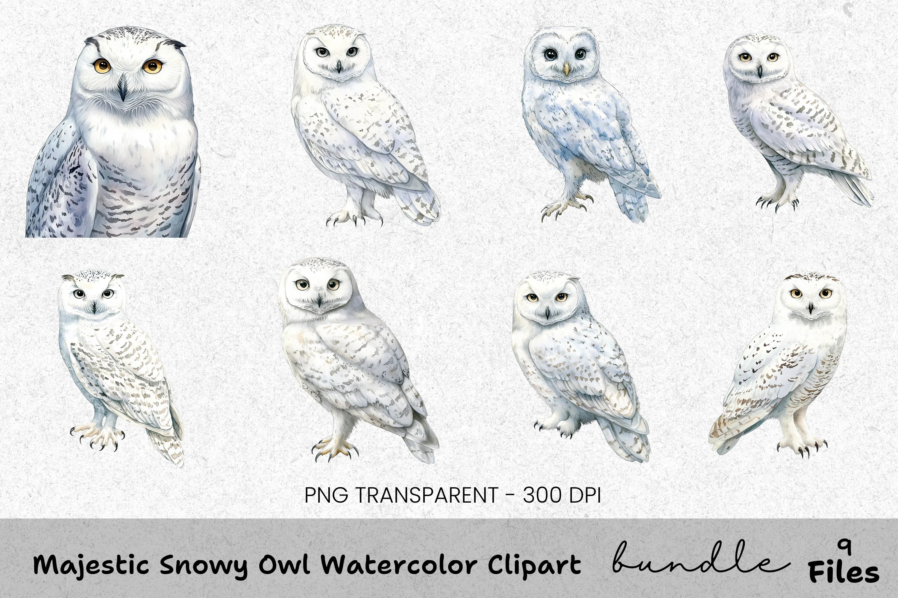 Majestic Snowy Owl Clipart Bundle