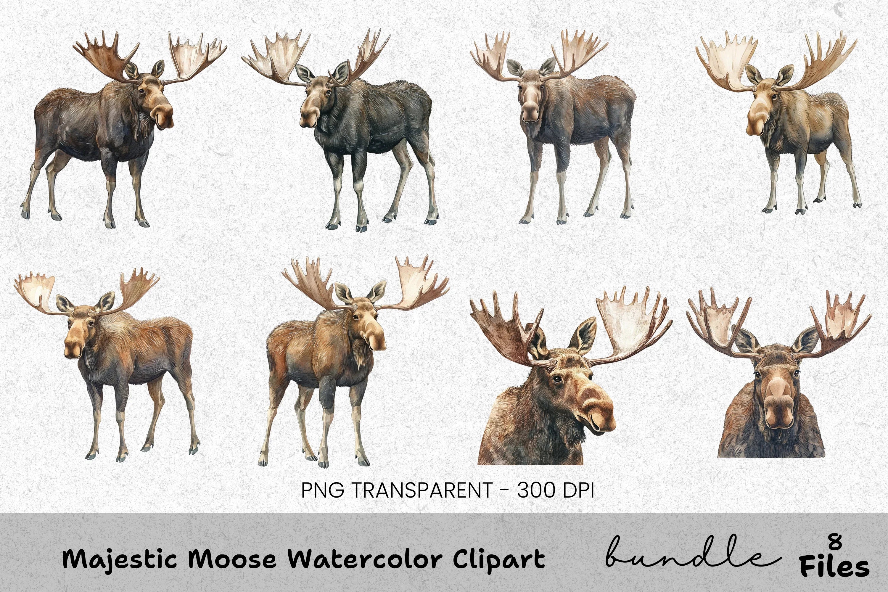 Majestic Moose Clipart Bundle