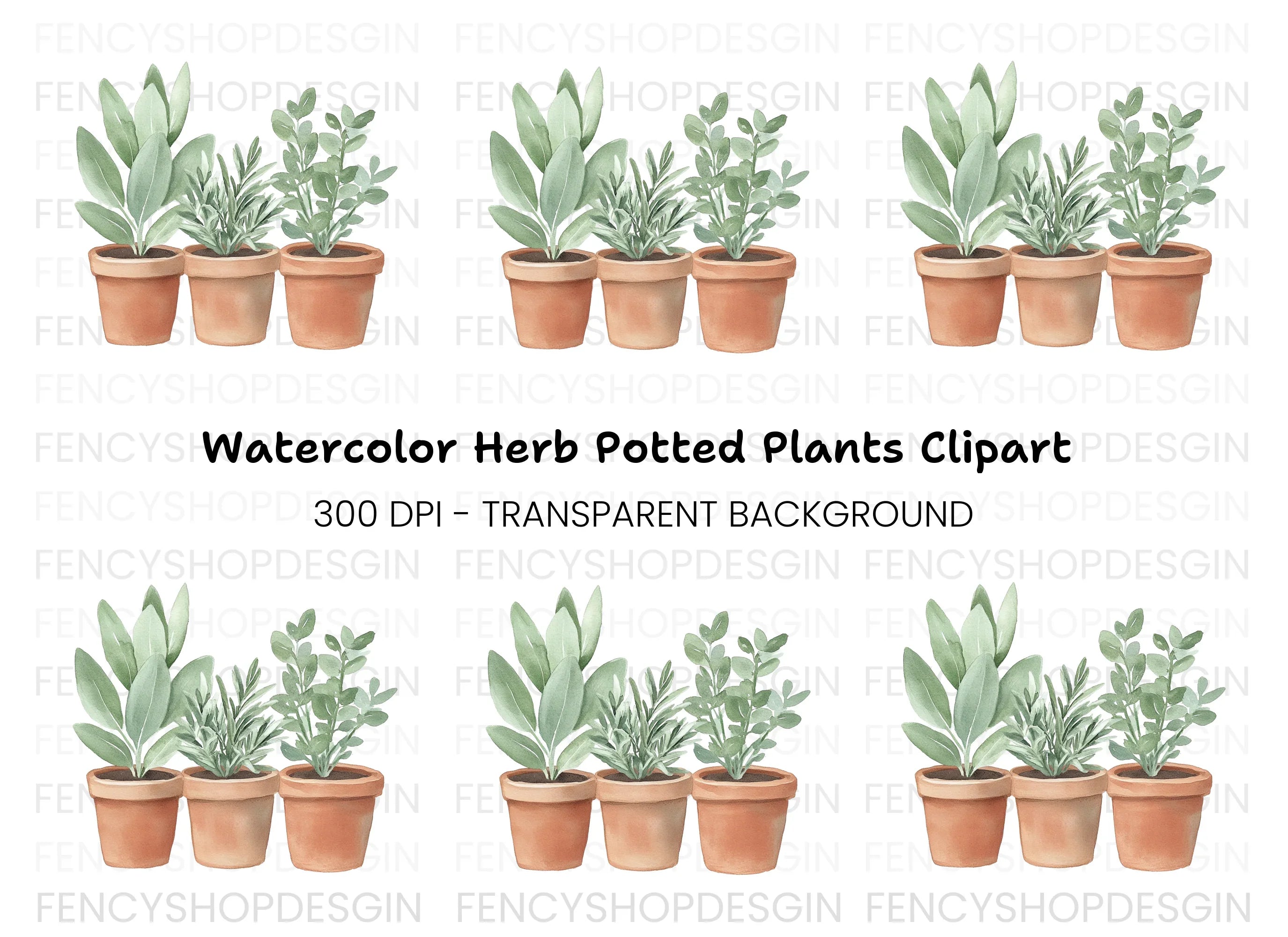 Herb Plants in Terracotta Pots Clipart Bundle