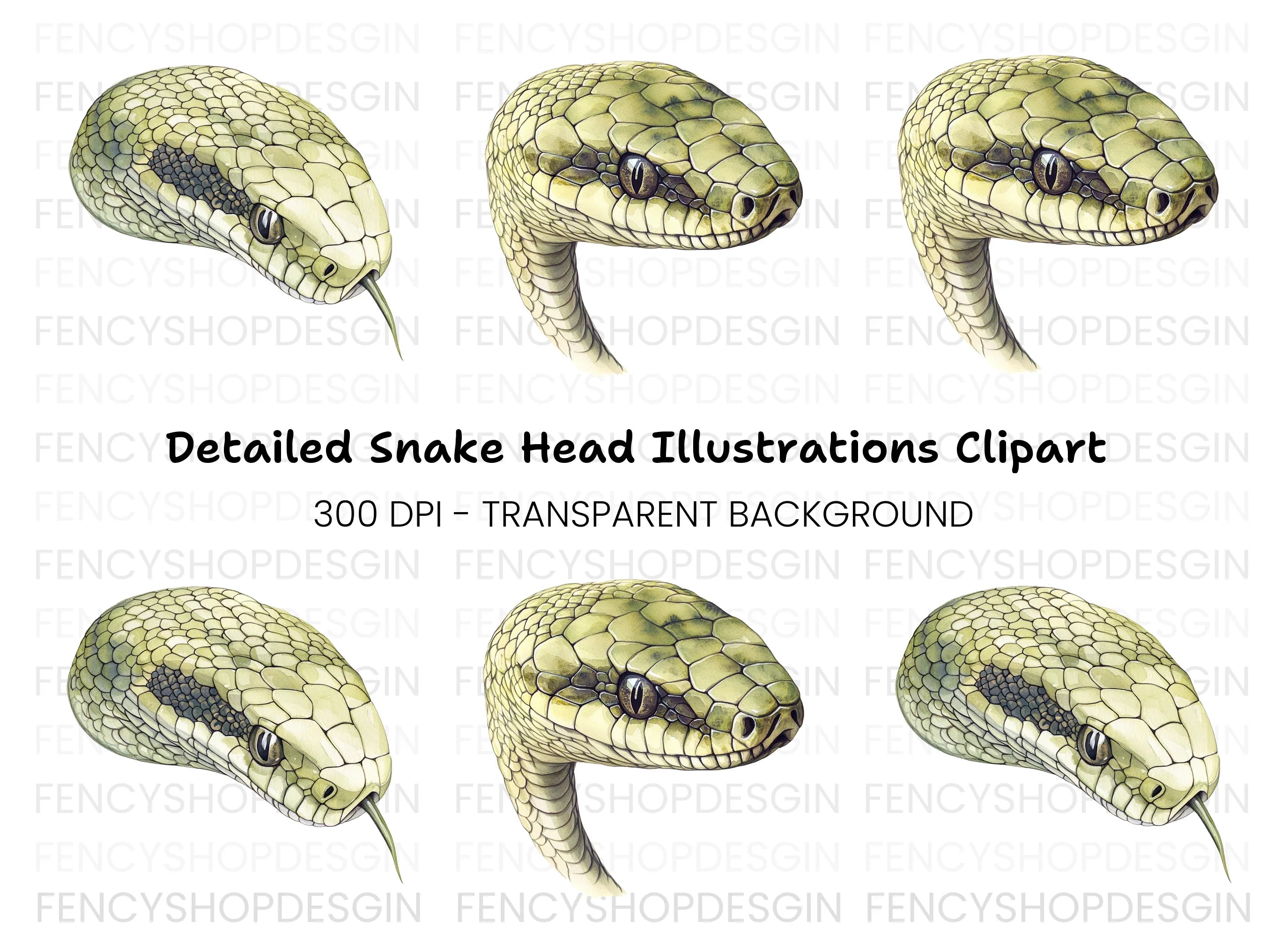 Detailed Snake Head Clipart Bundle