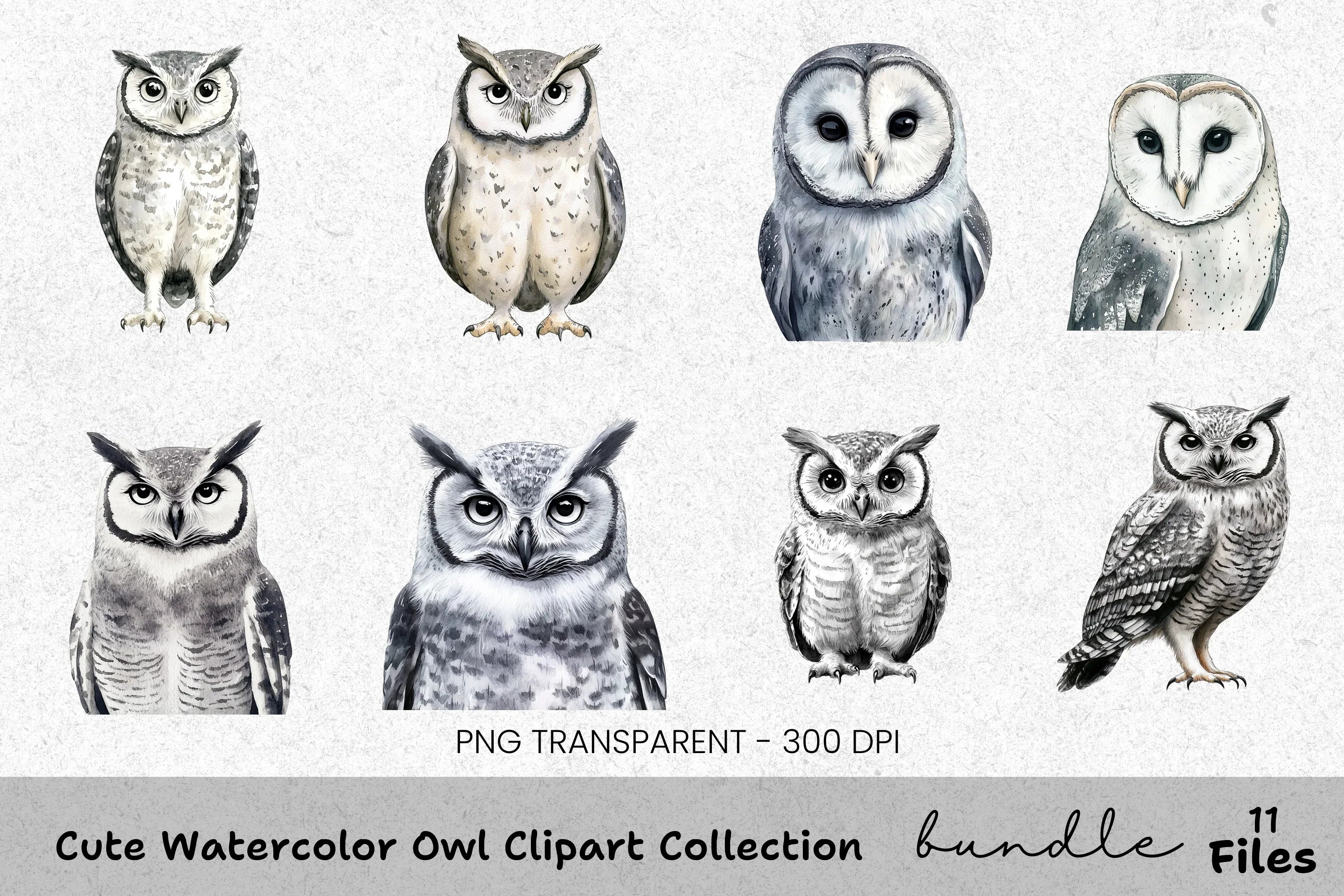 Cute Owl Clipart Bundle