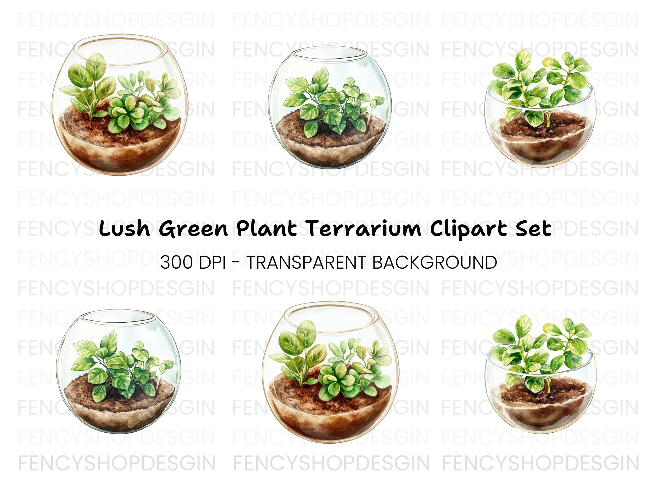 Miniature Plant Terrariums Clipart Bundle