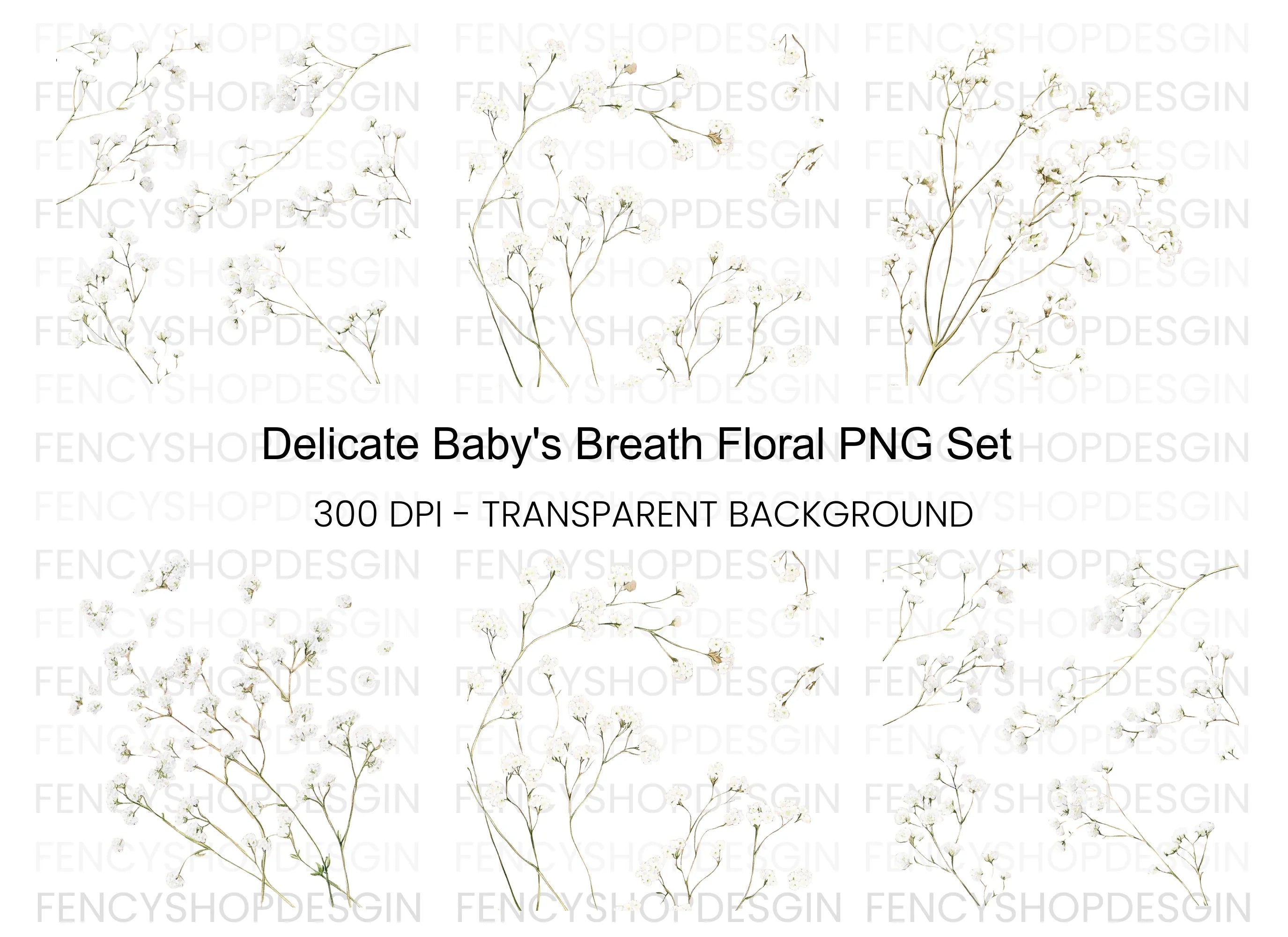 Delicate Baby Breath Clipart Bundle